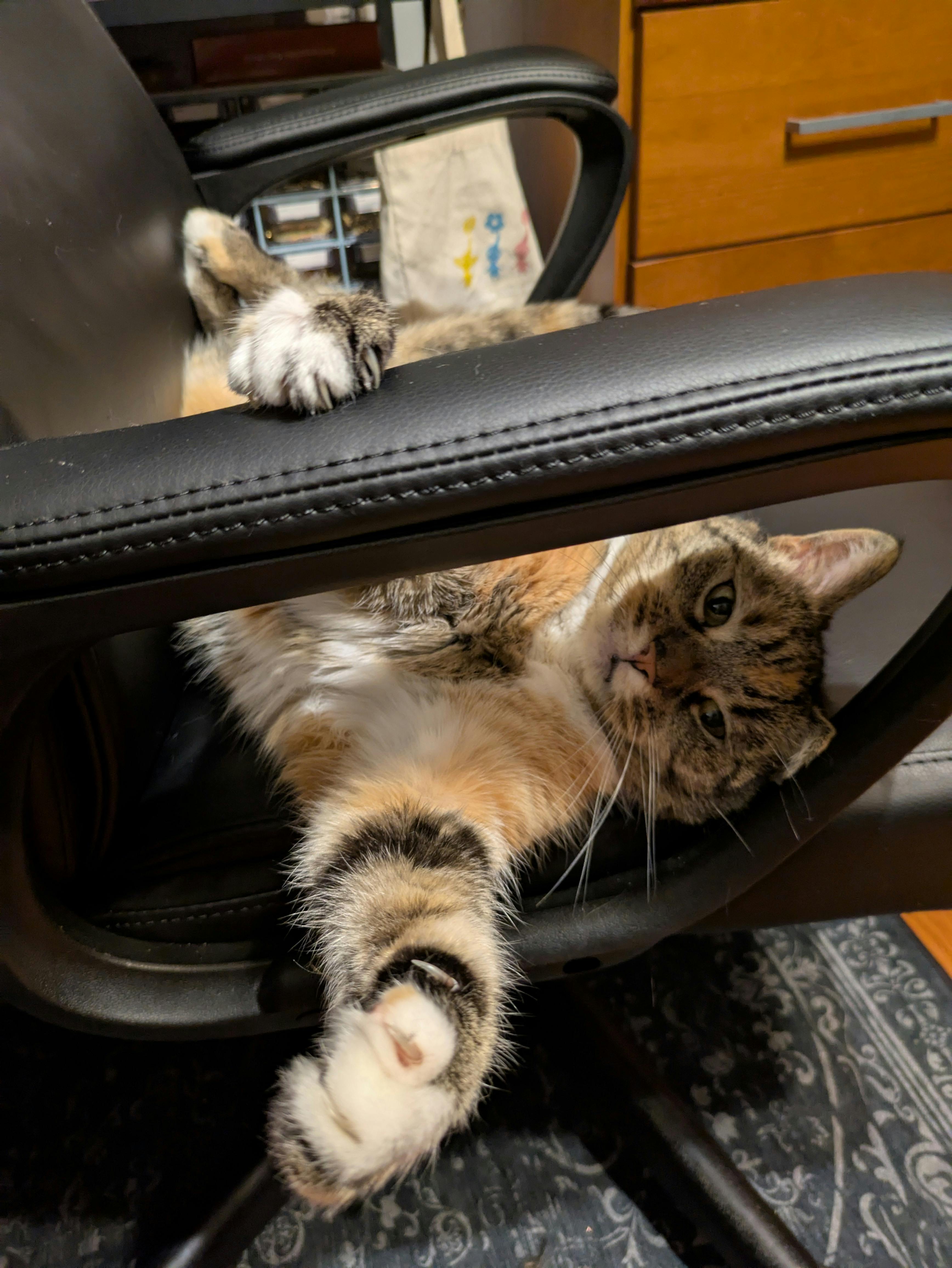 user avatar image for KumoriKawa