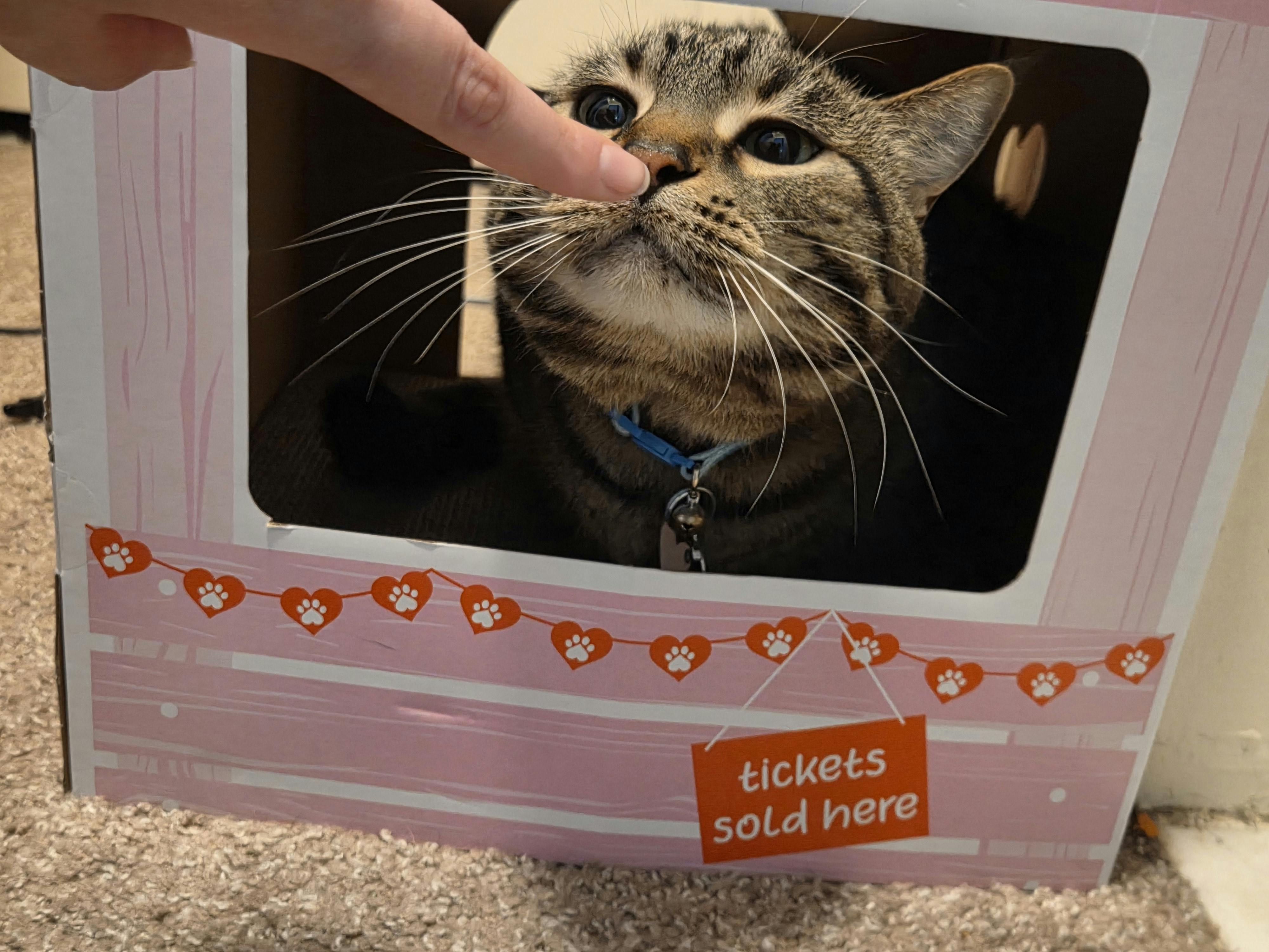 user avatar image for Bunniebean