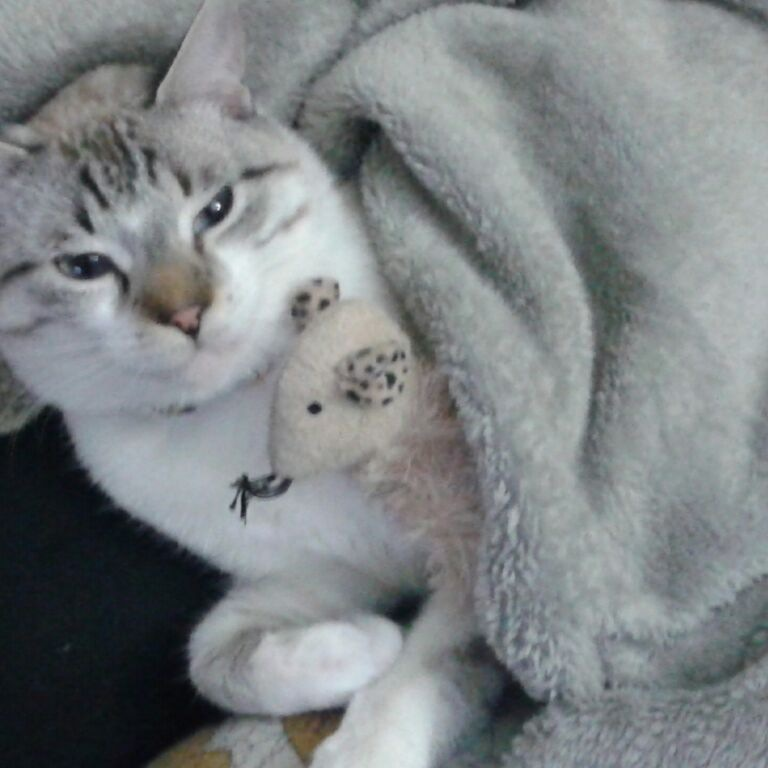 user avatar image for wehehe