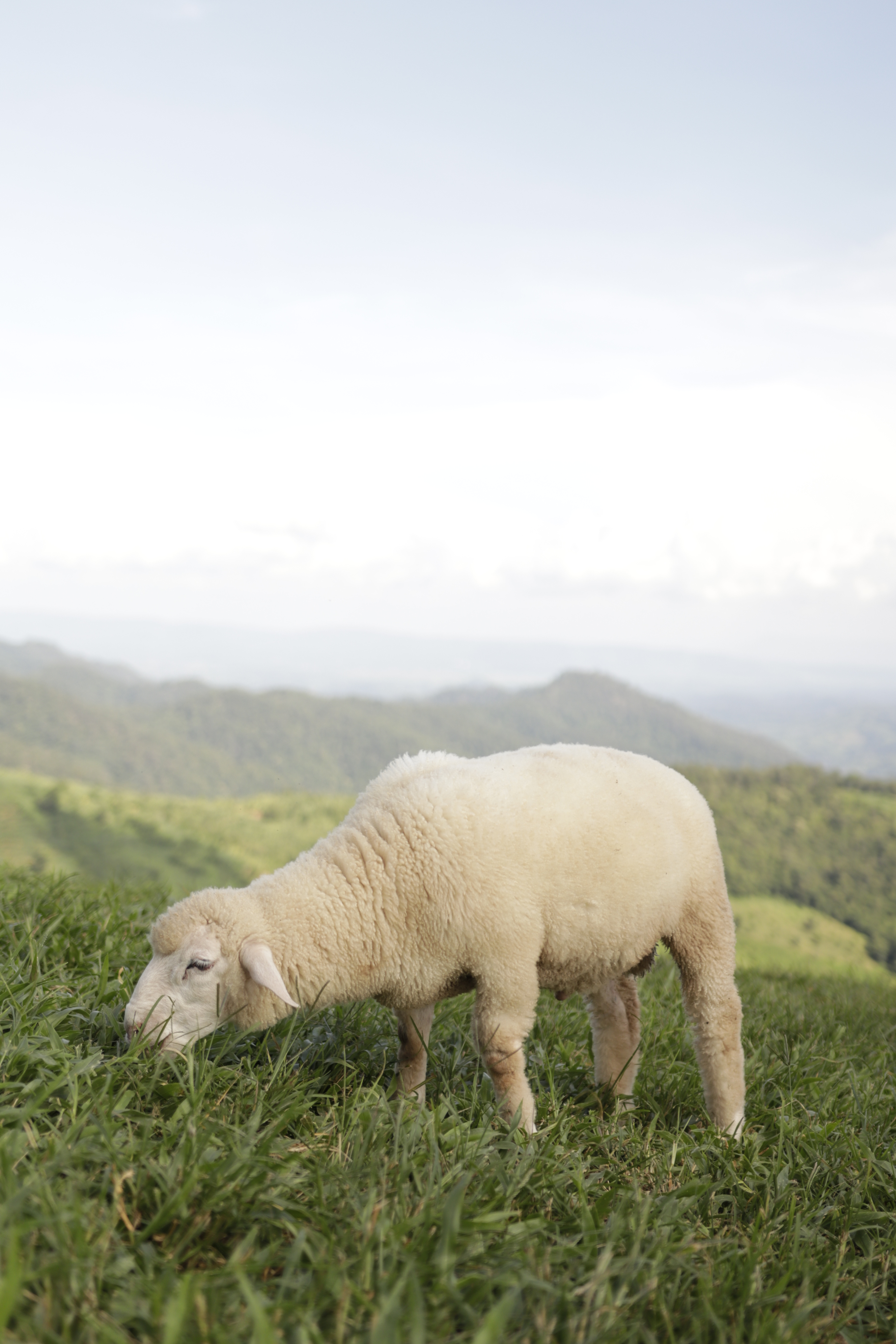 user avatar image for Kulnitha