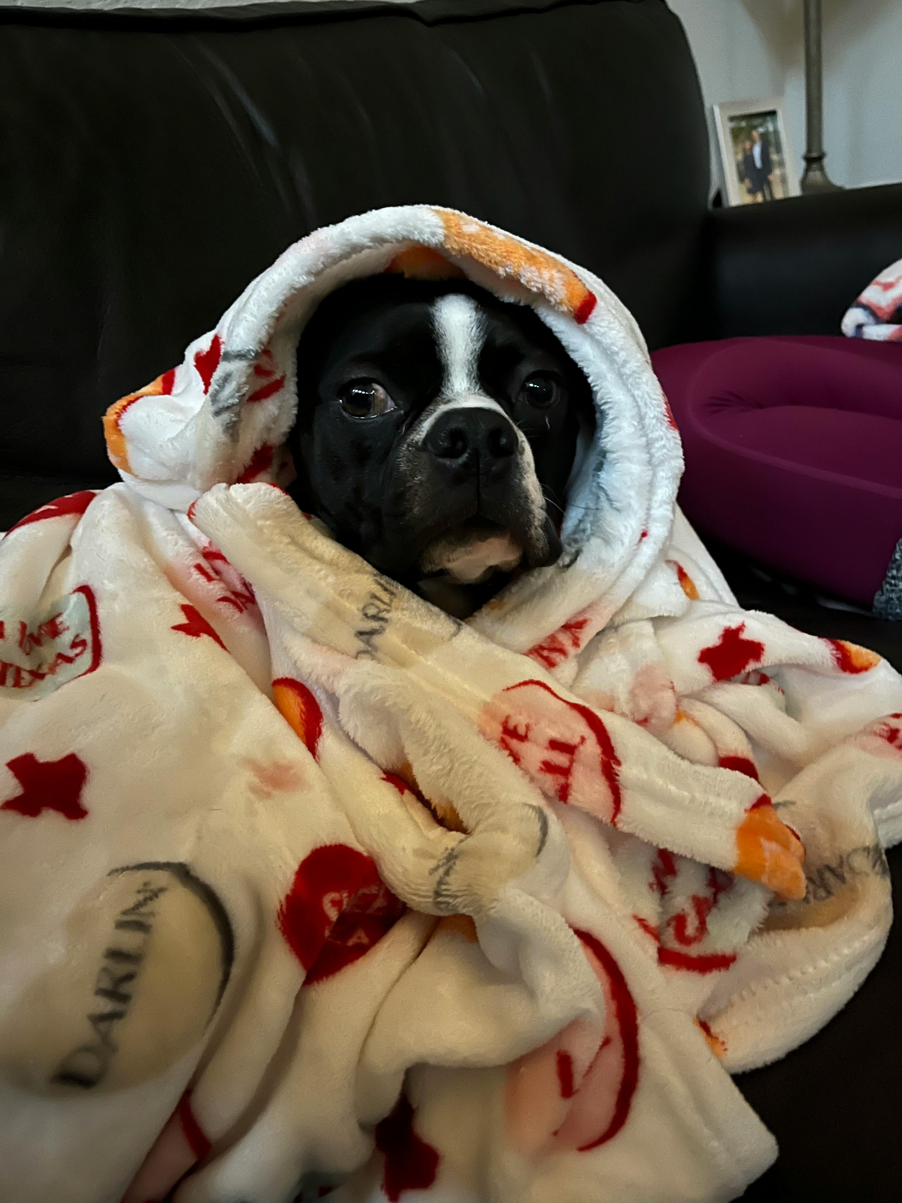 user avatar image for RTodd110