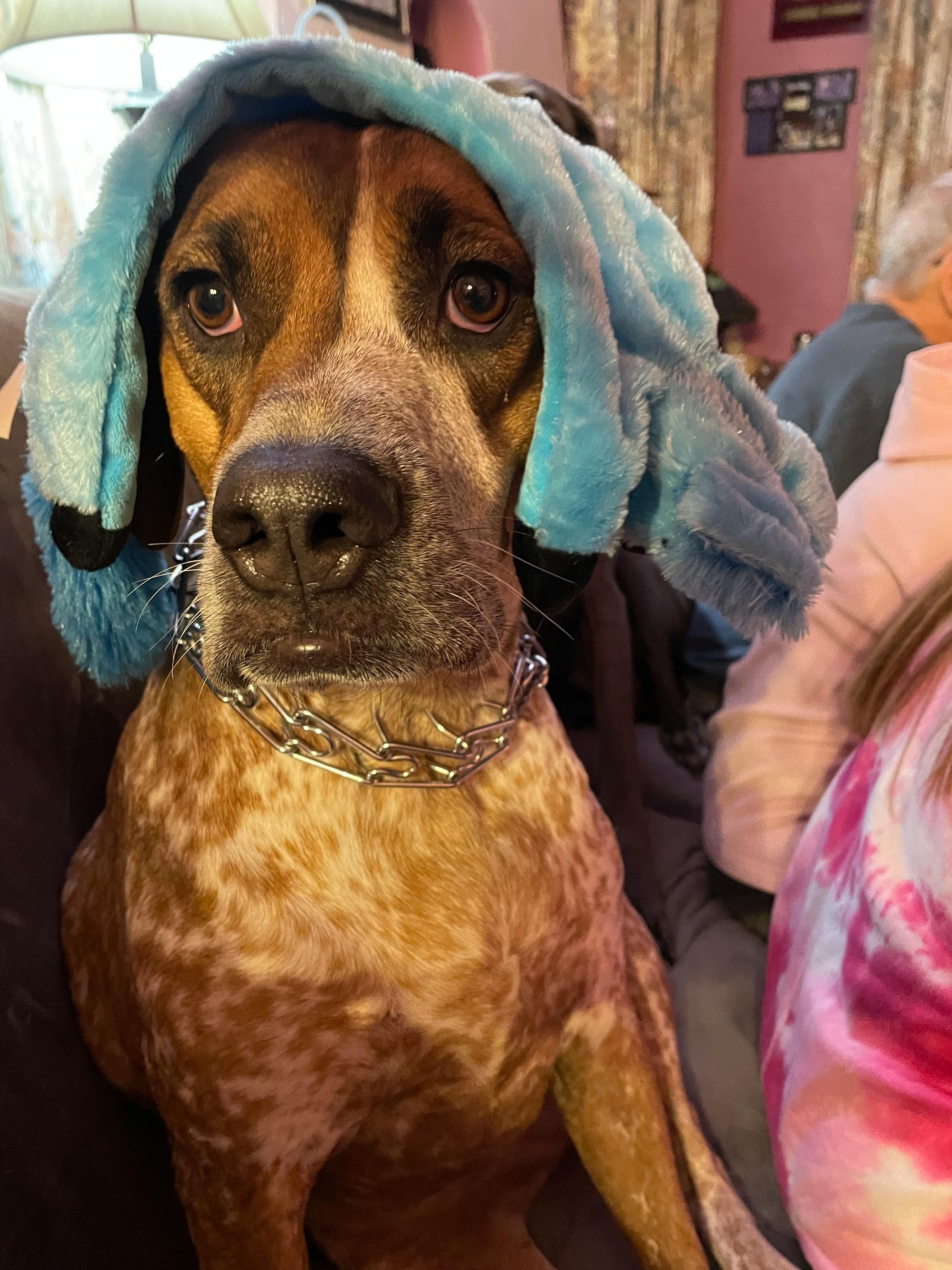 user avatar image for Chad Francis