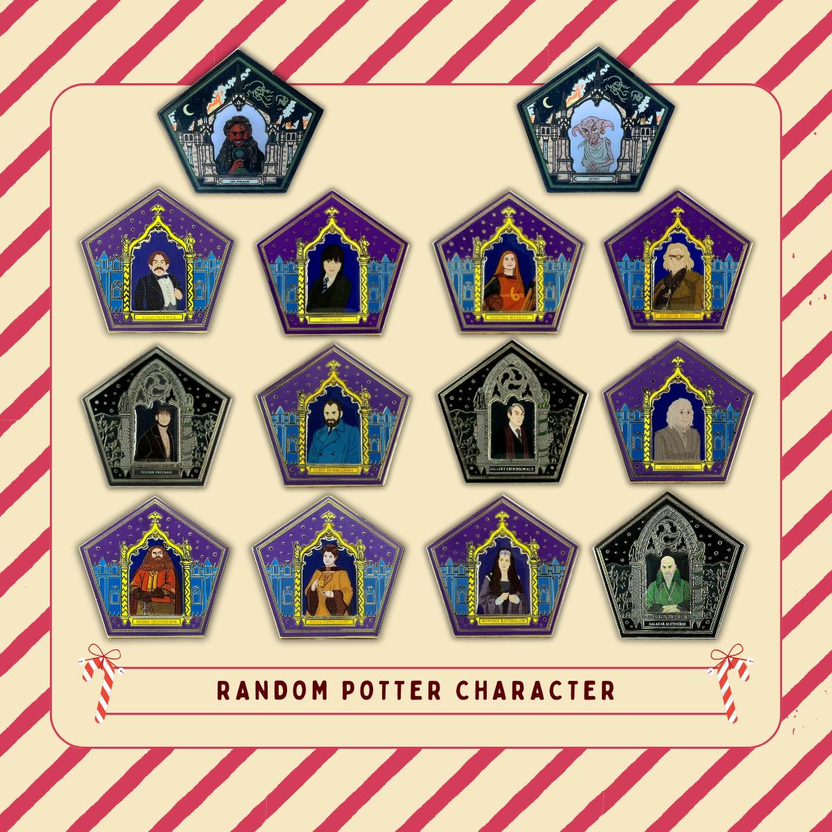 Random Potter Character Pin