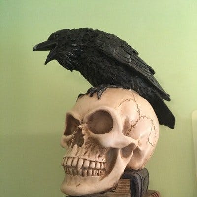 user avatar image for KDS