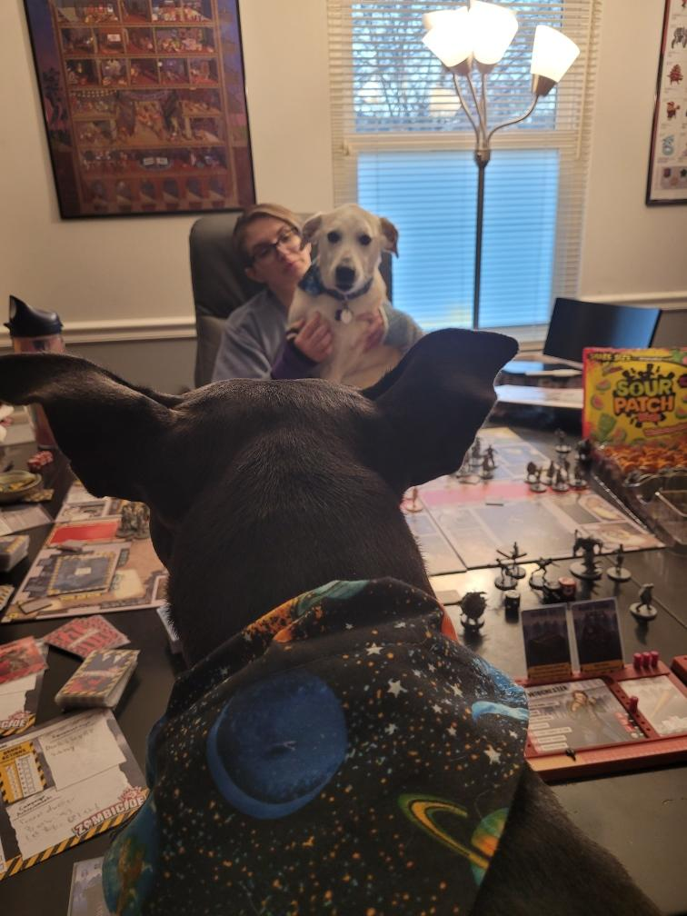 user avatar image for Kate Grames