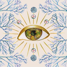 user avatar image for Nicolette Toddor