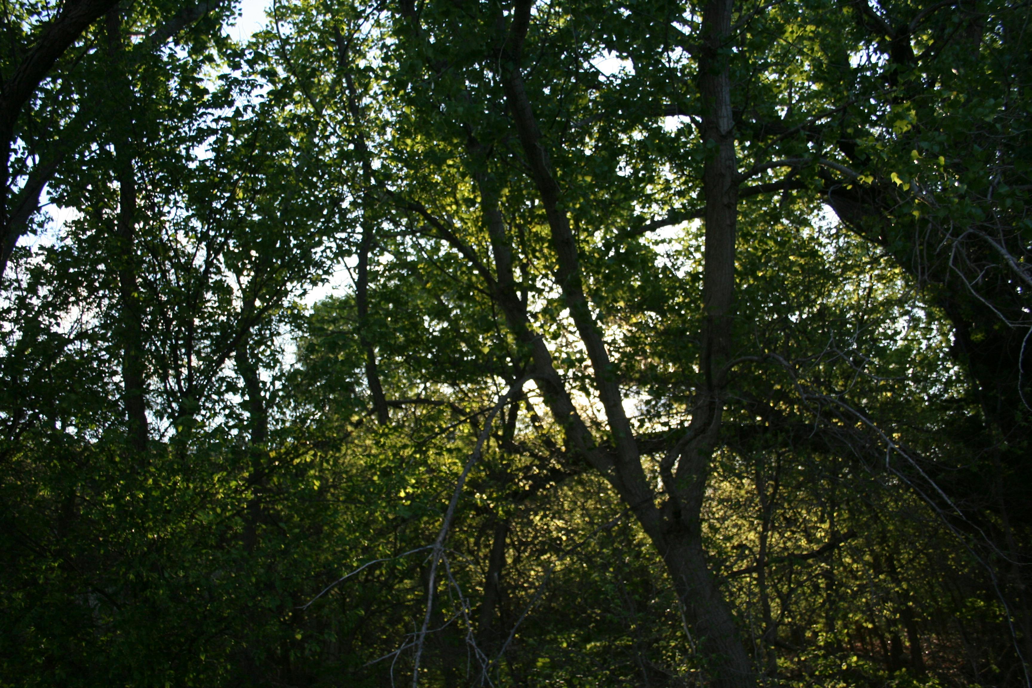 user avatar image for EllipticDART