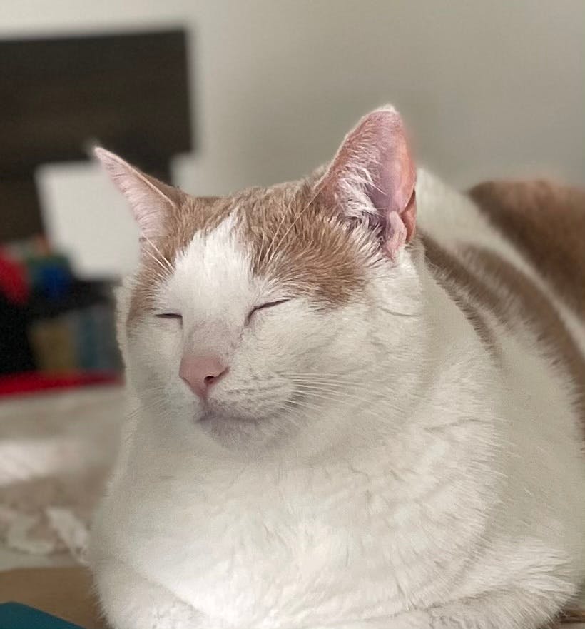 user avatar image for Renee (Lil)