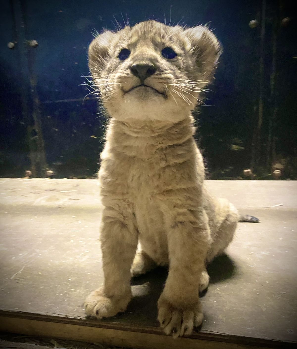 user avatar image for Everett