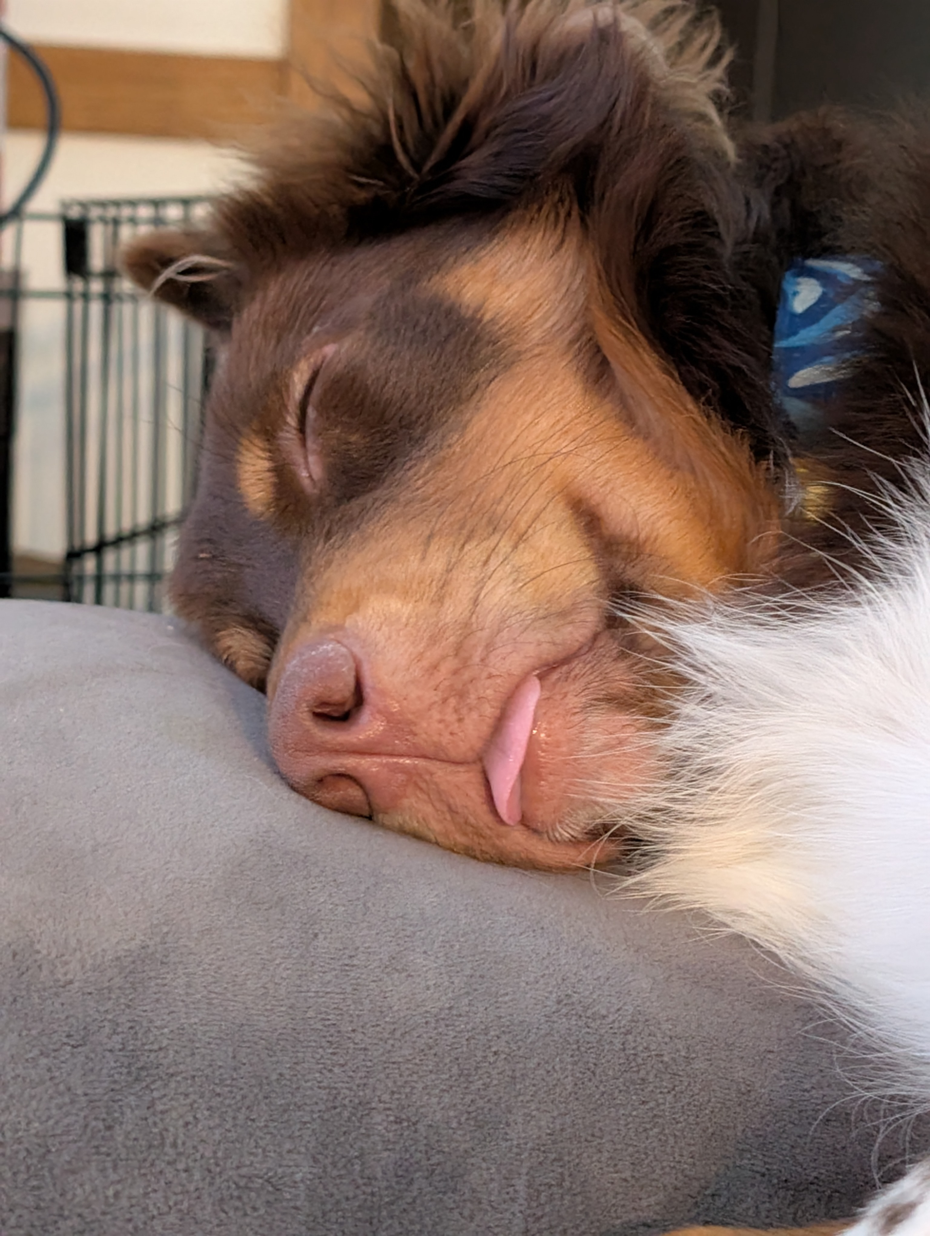 user avatar image for Quinn