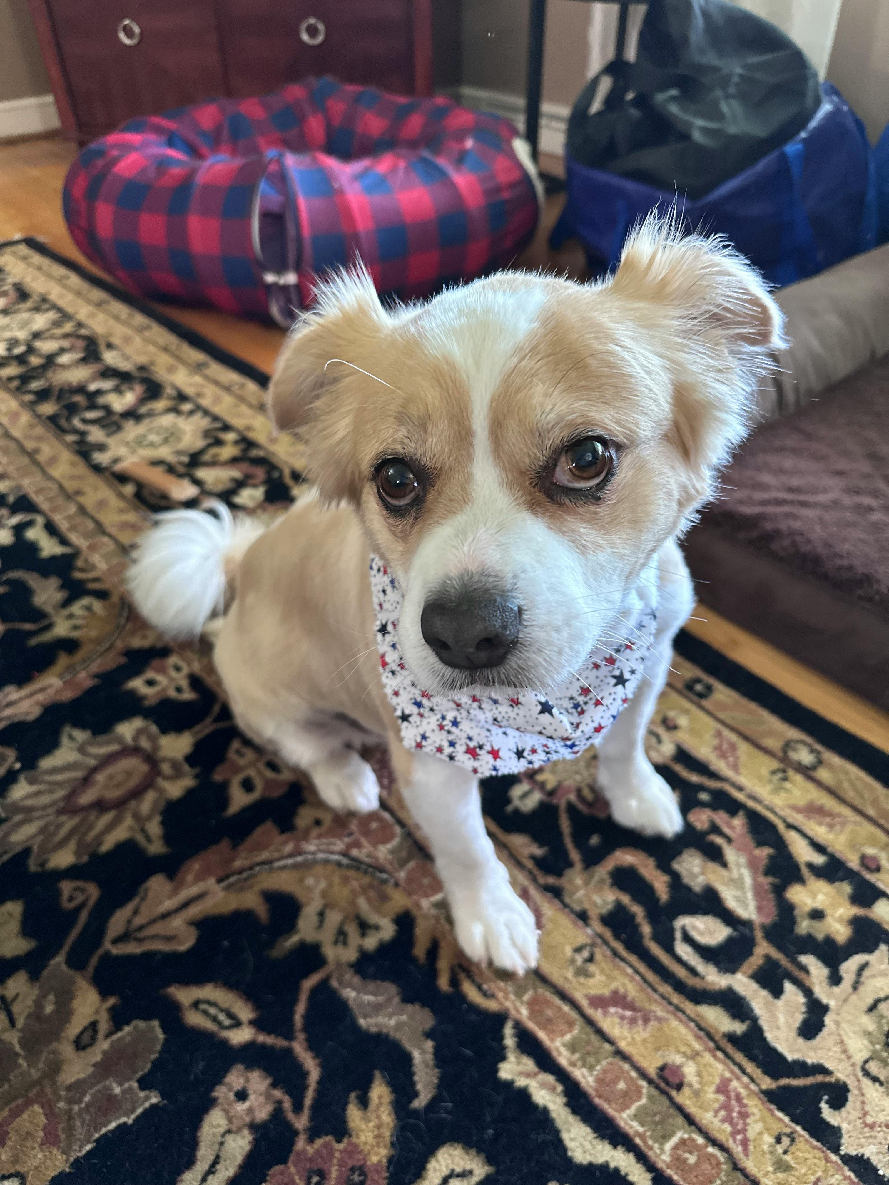 user avatar image for Danielle Arnold