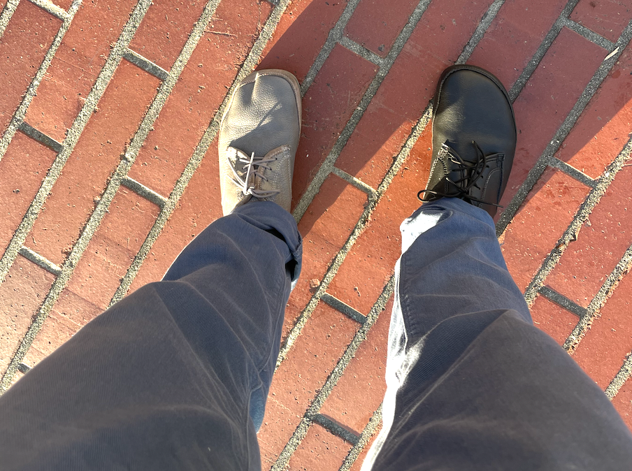 user avatar image for rif a saurous