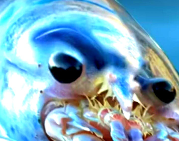 user avatar image for Doug