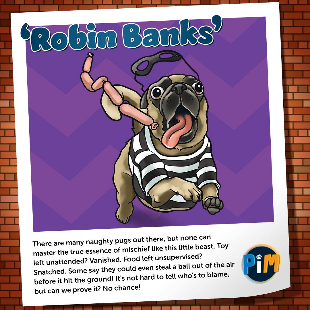 Robin Banks