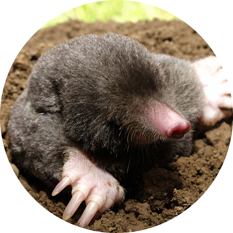 user avatar image for GungHoPotato