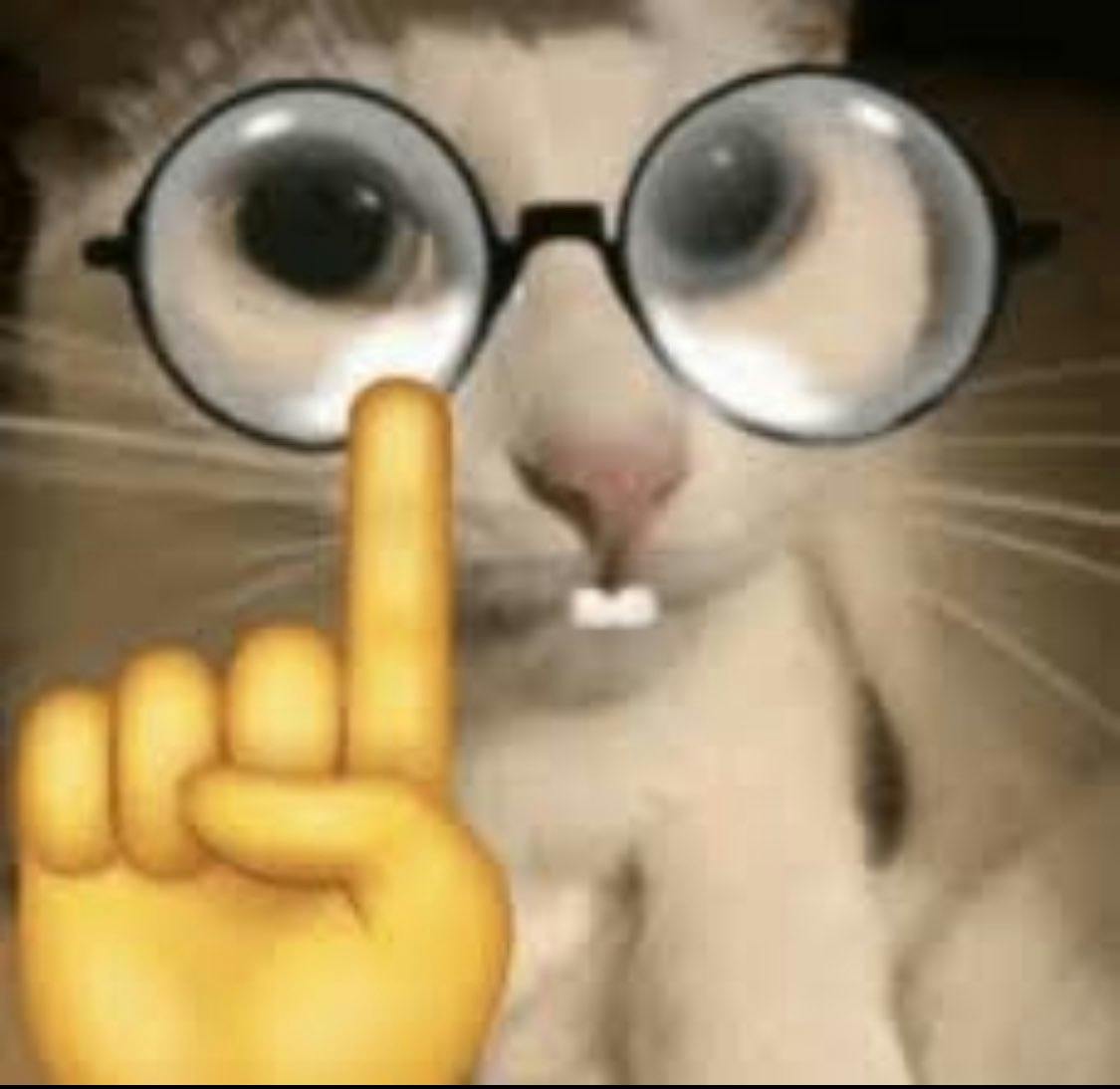 user avatar image for oriuelo