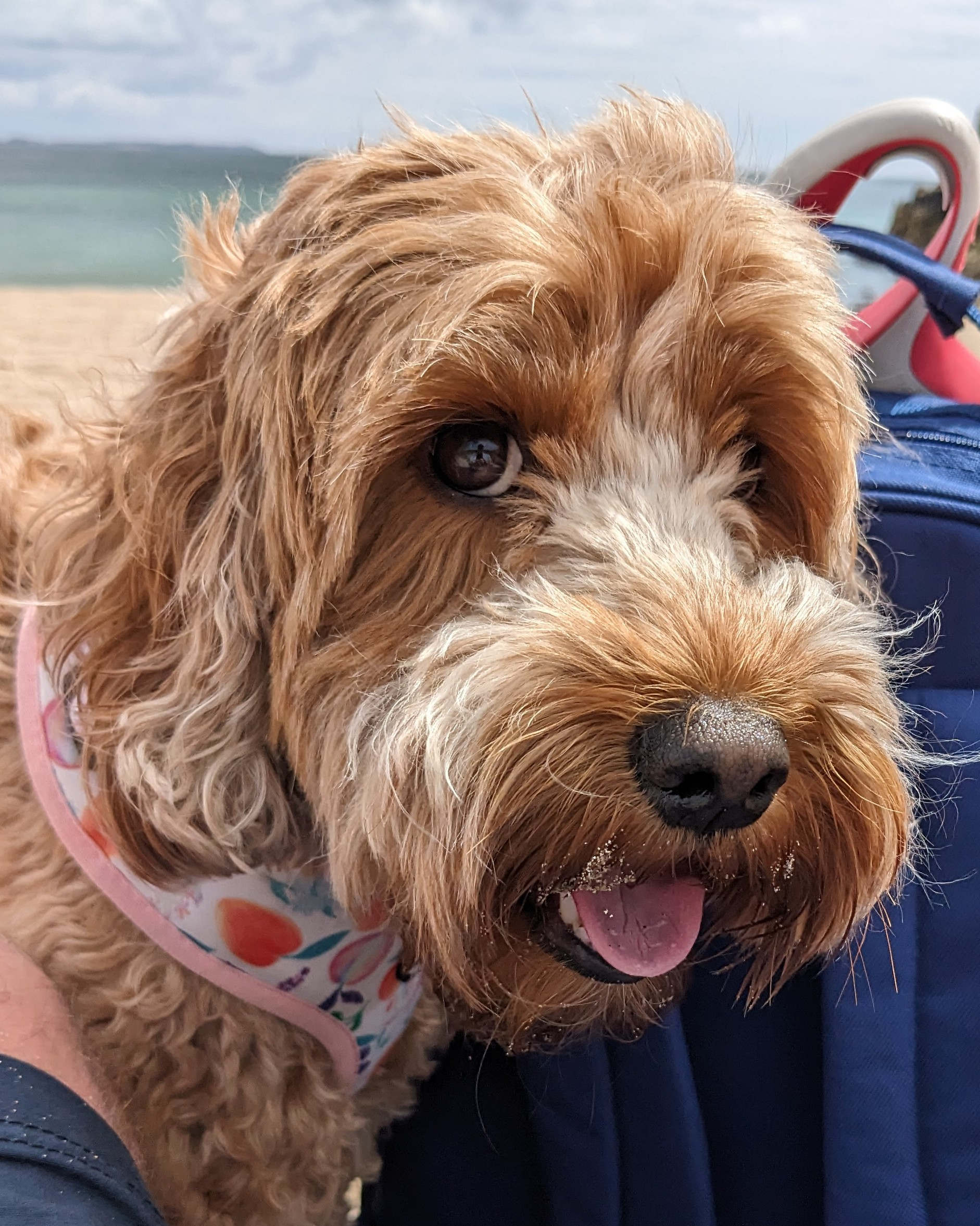 user avatar image for Steve Baker