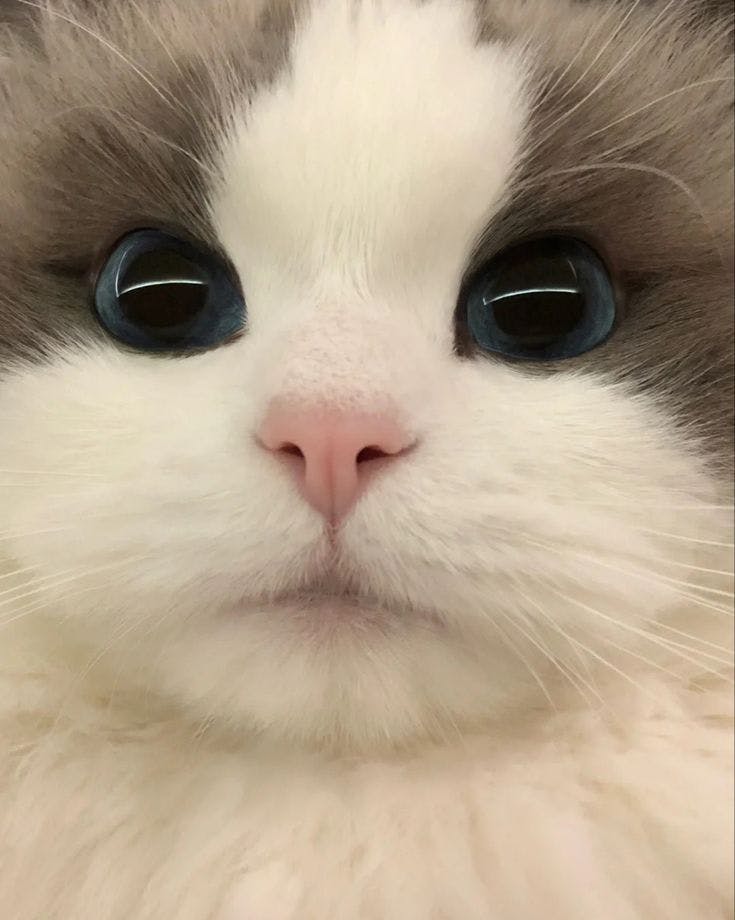 user avatar image for Zoe F