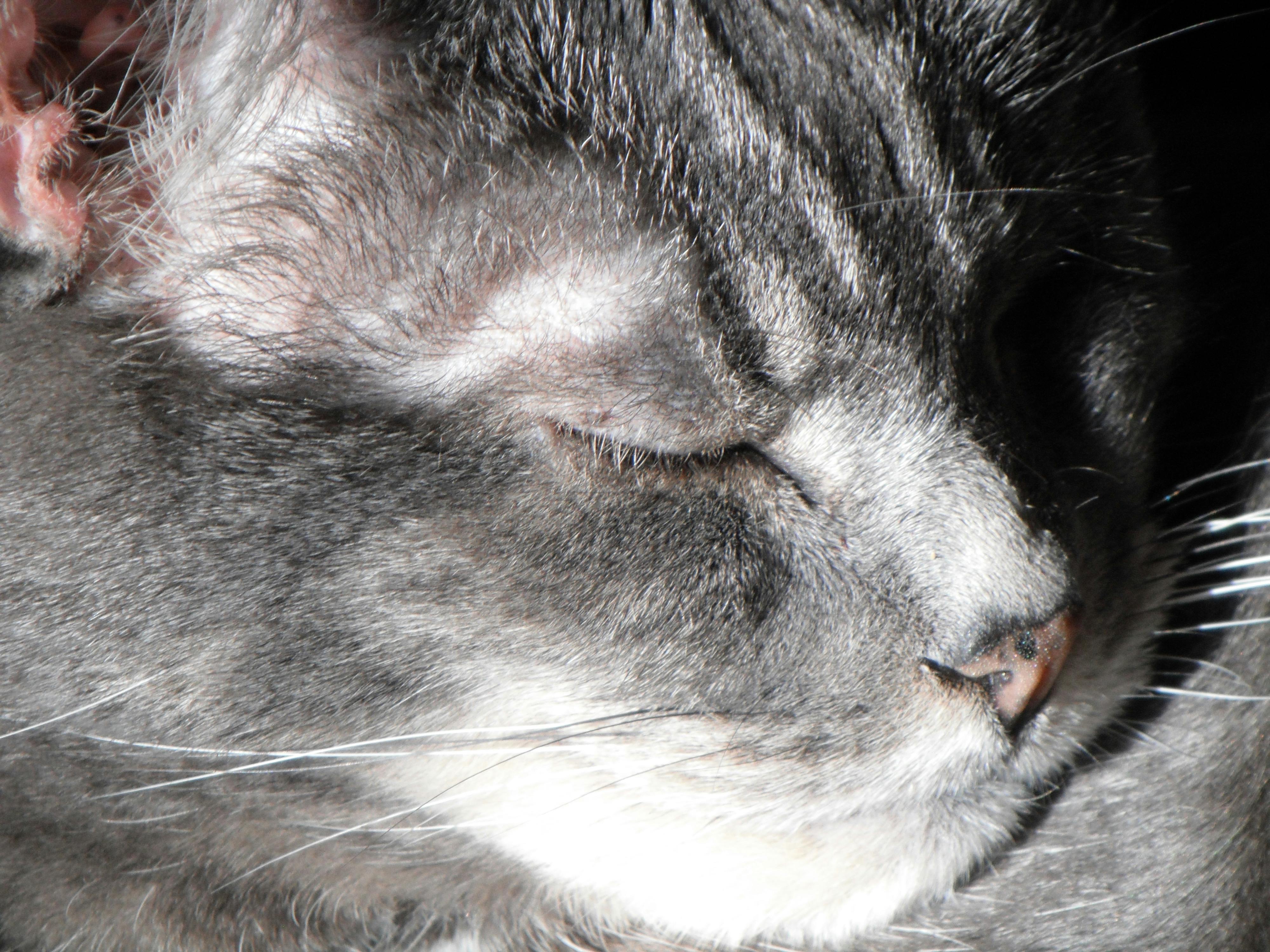 user avatar image for Elise Francoeur