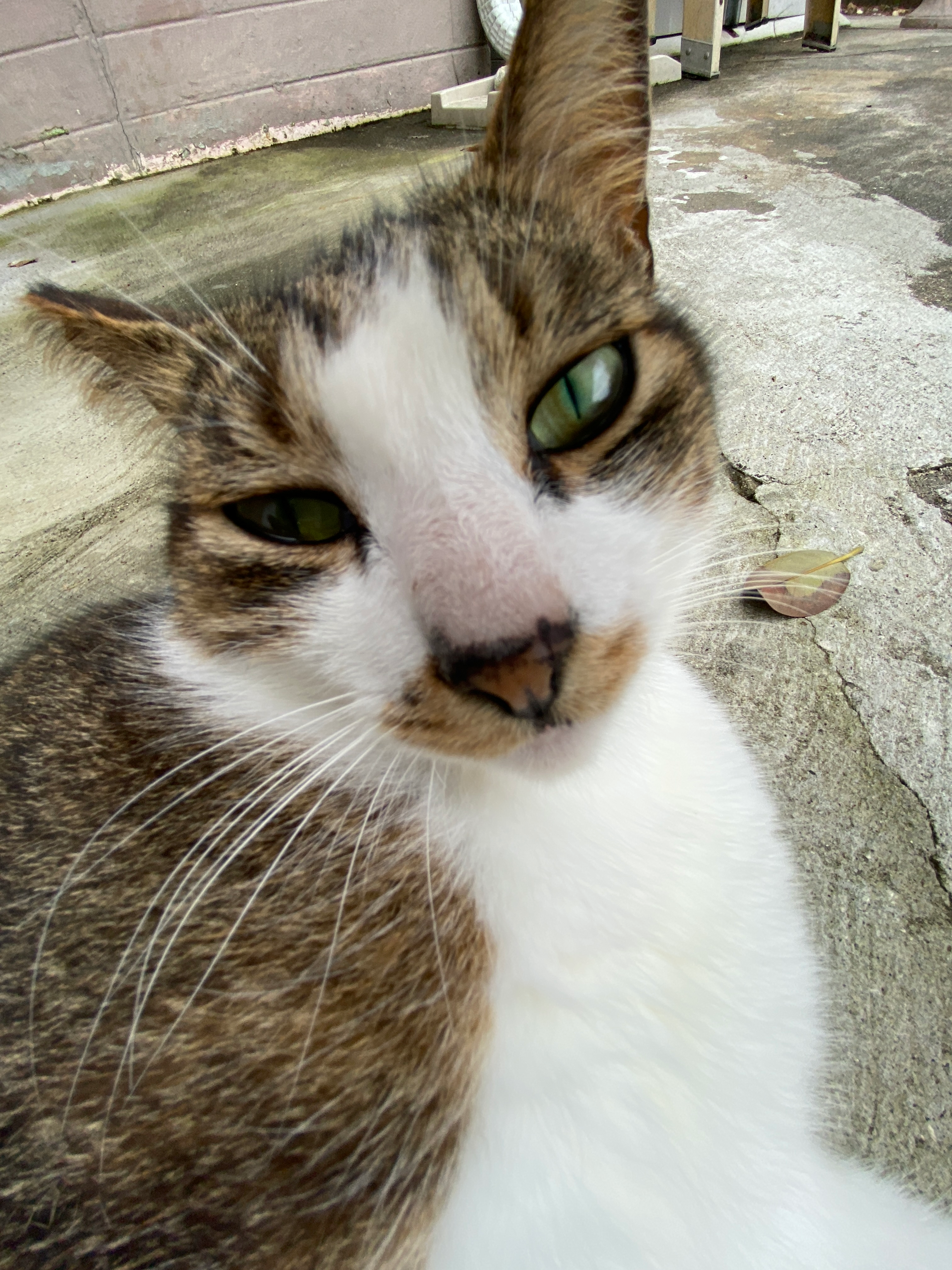 user avatar image for Randi