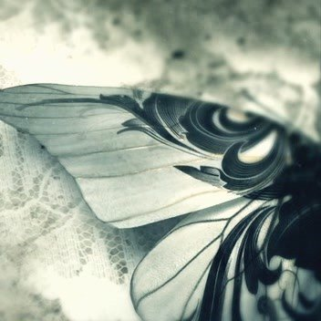 user avatar image for Nia