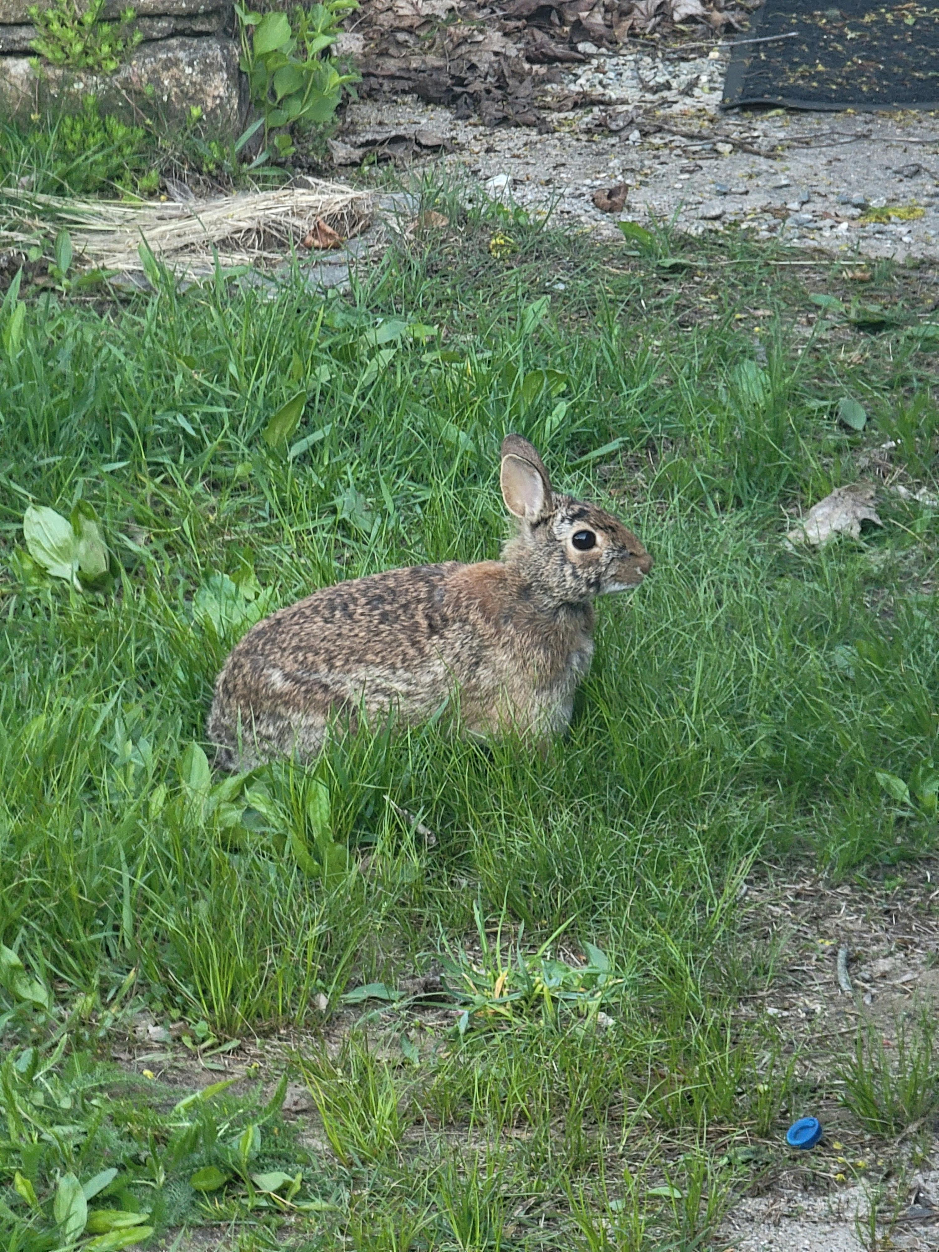 user avatar image for Twiztidkarma