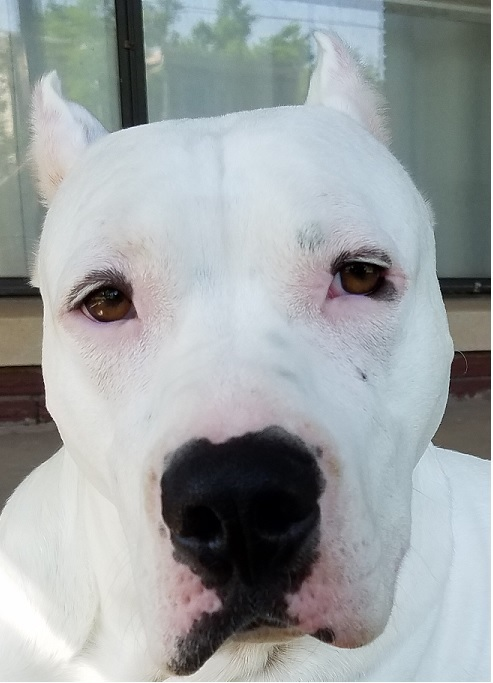 user avatar image for Jeff Williams