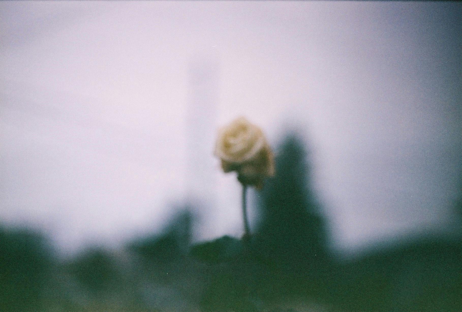 user avatar image for Jakyluky