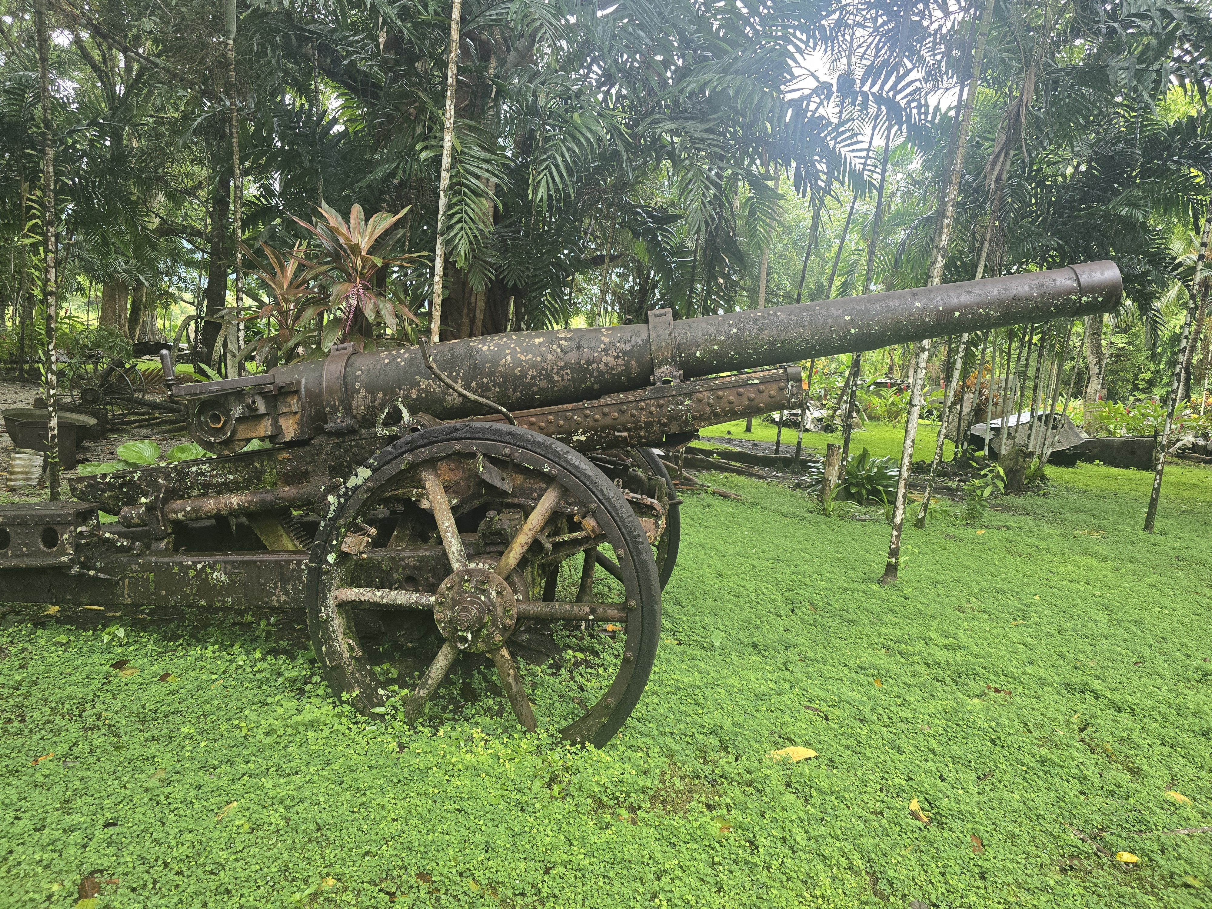 user avatar image for Thomy212 