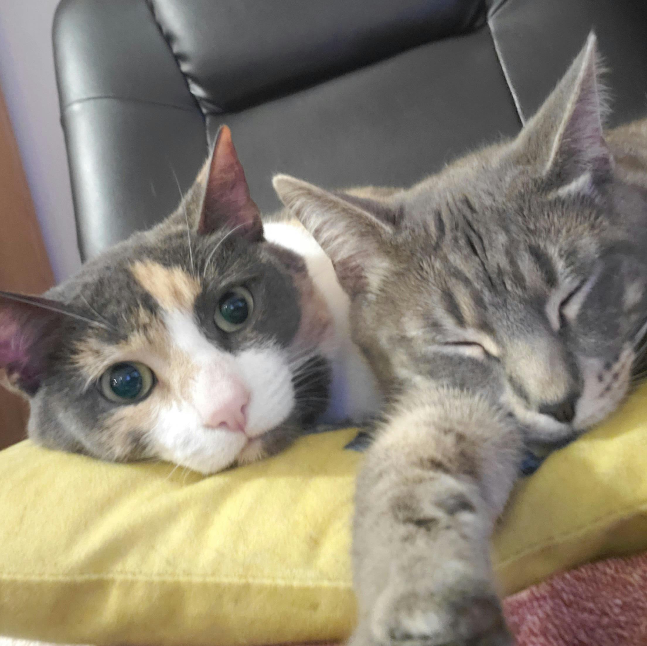 user avatar image for RestlessRicky