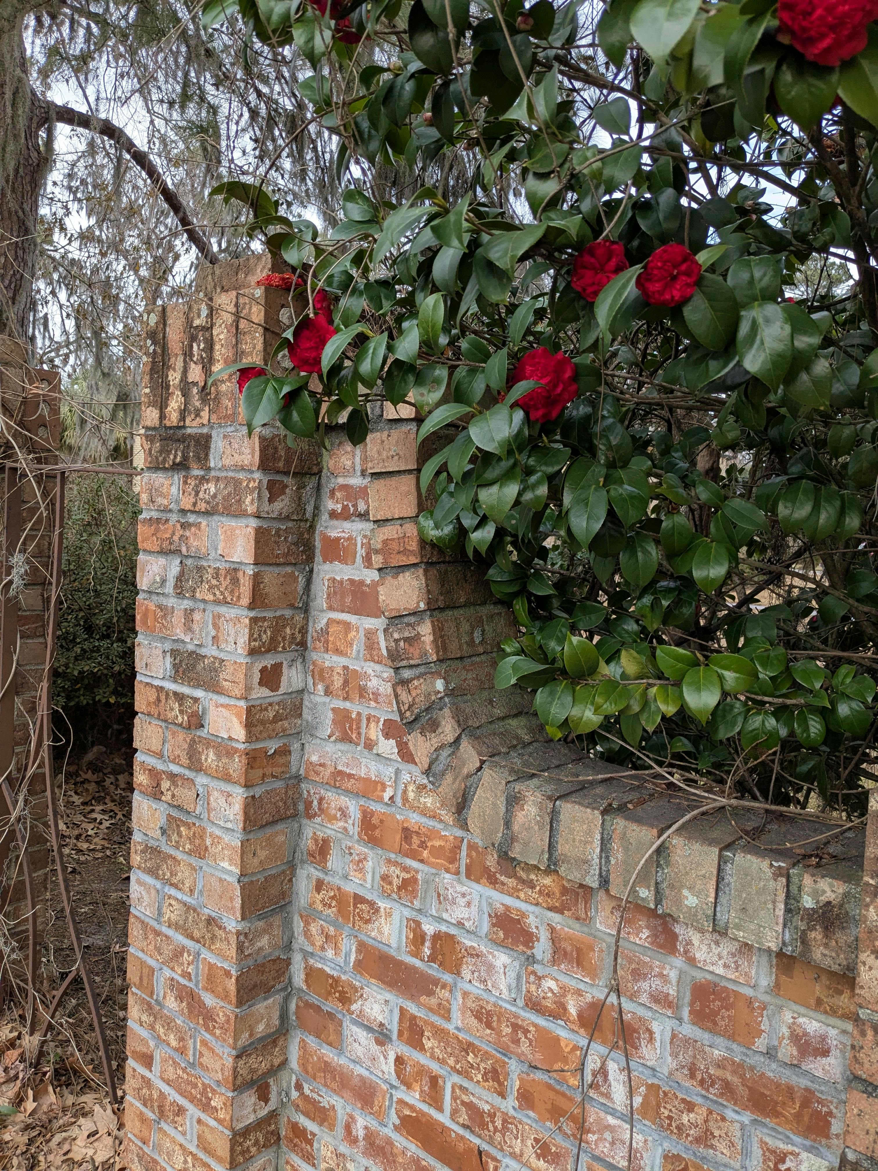 user avatar image for Madmallerd