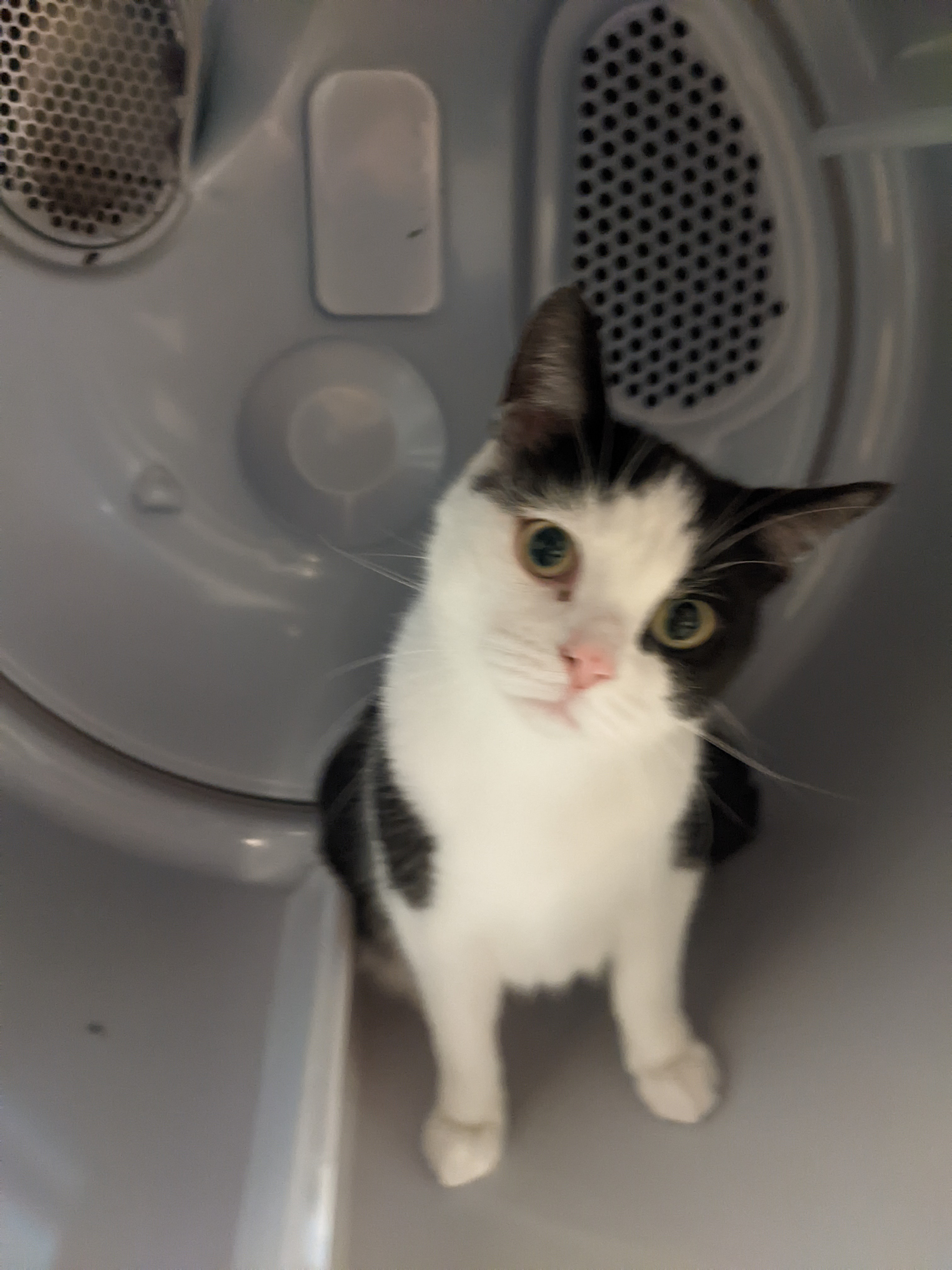 user avatar image for Ryan