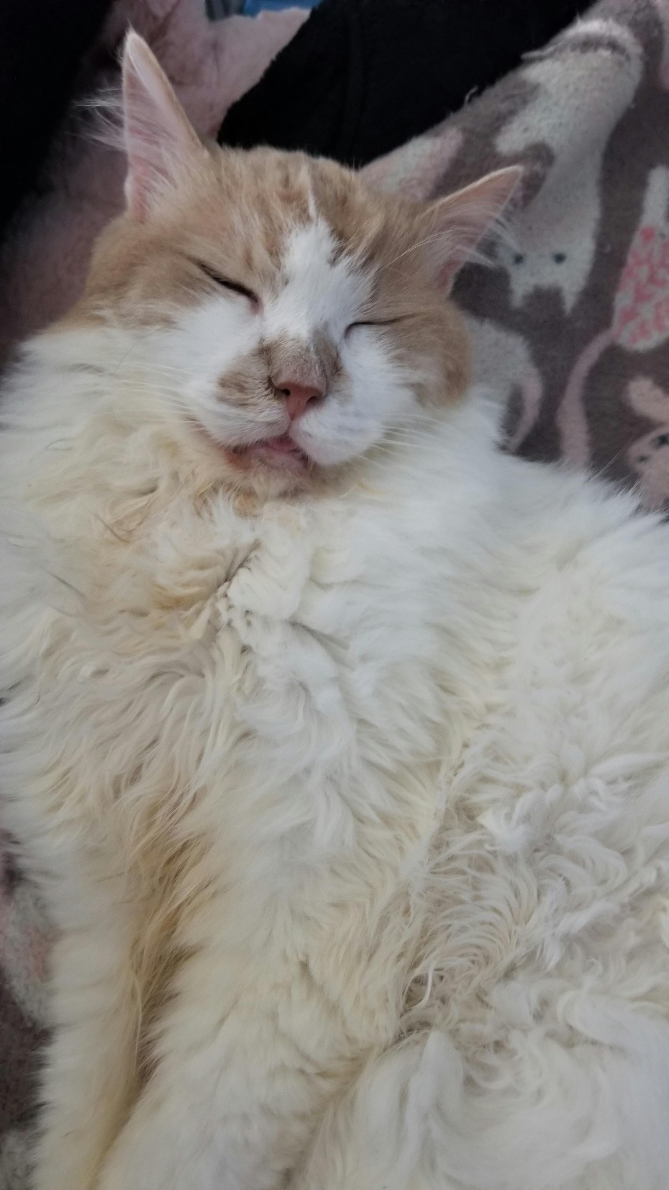 user avatar image for Julie 