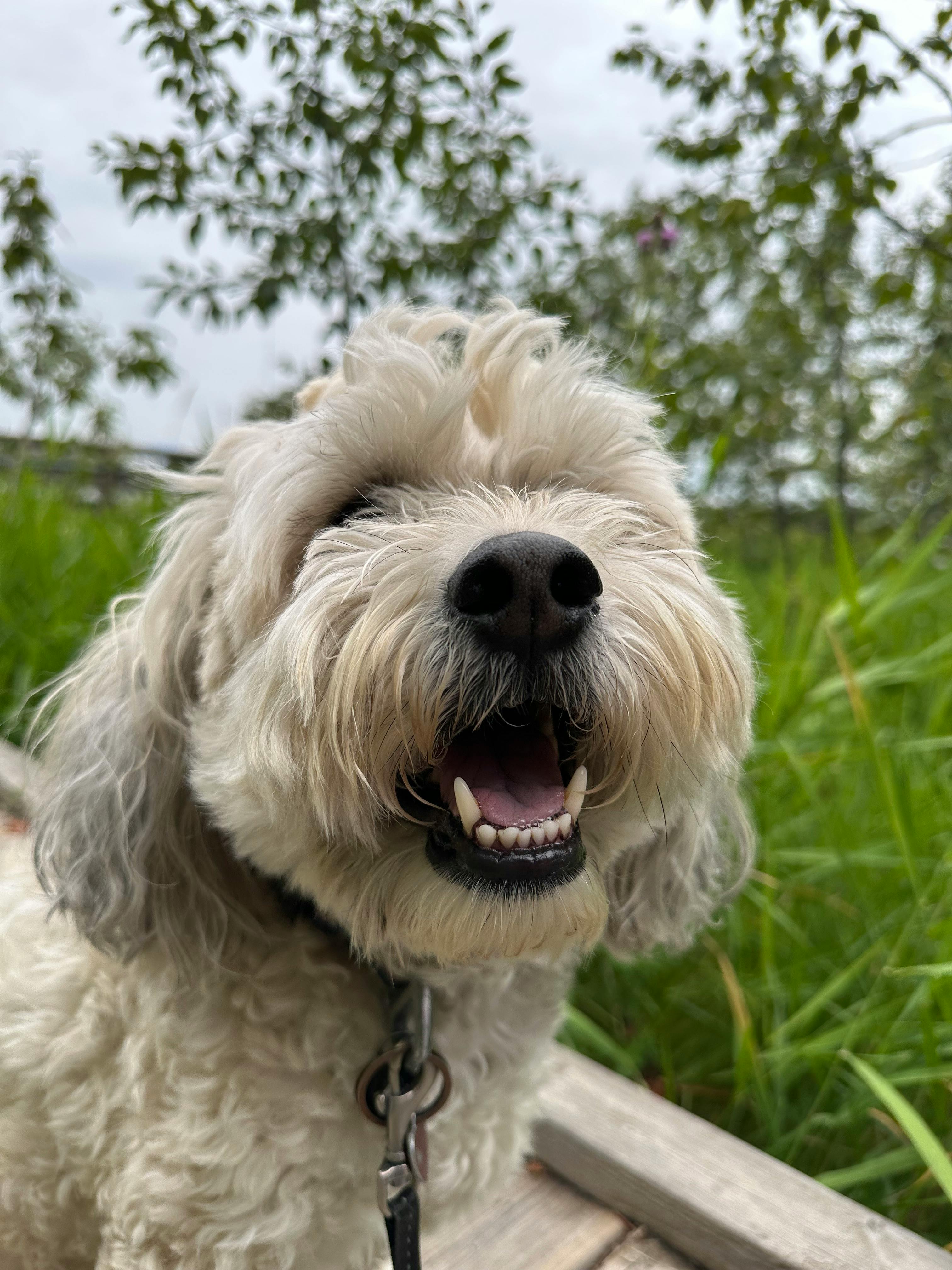 user avatar image for Kim Gette