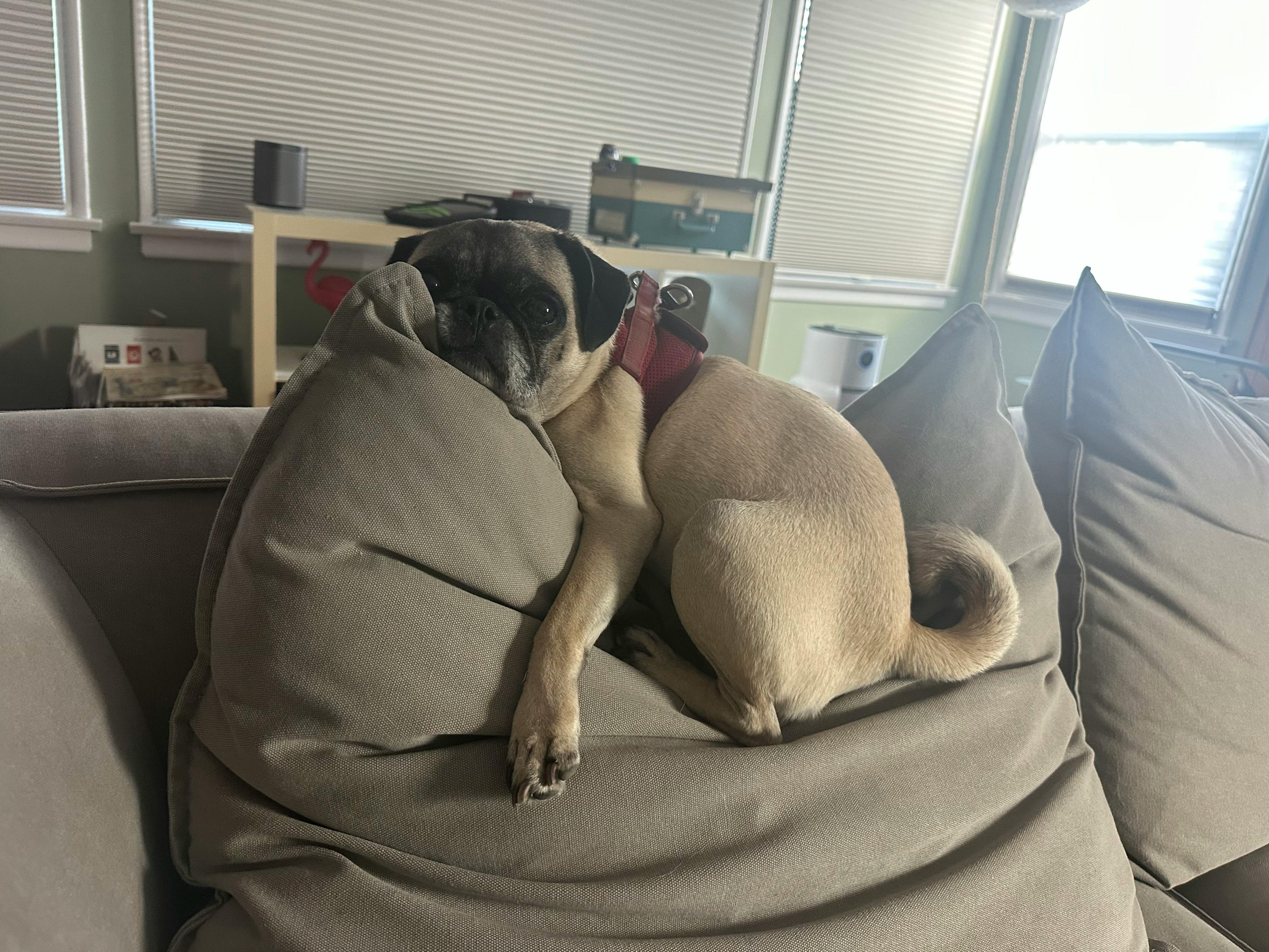 user avatar image for Jamie