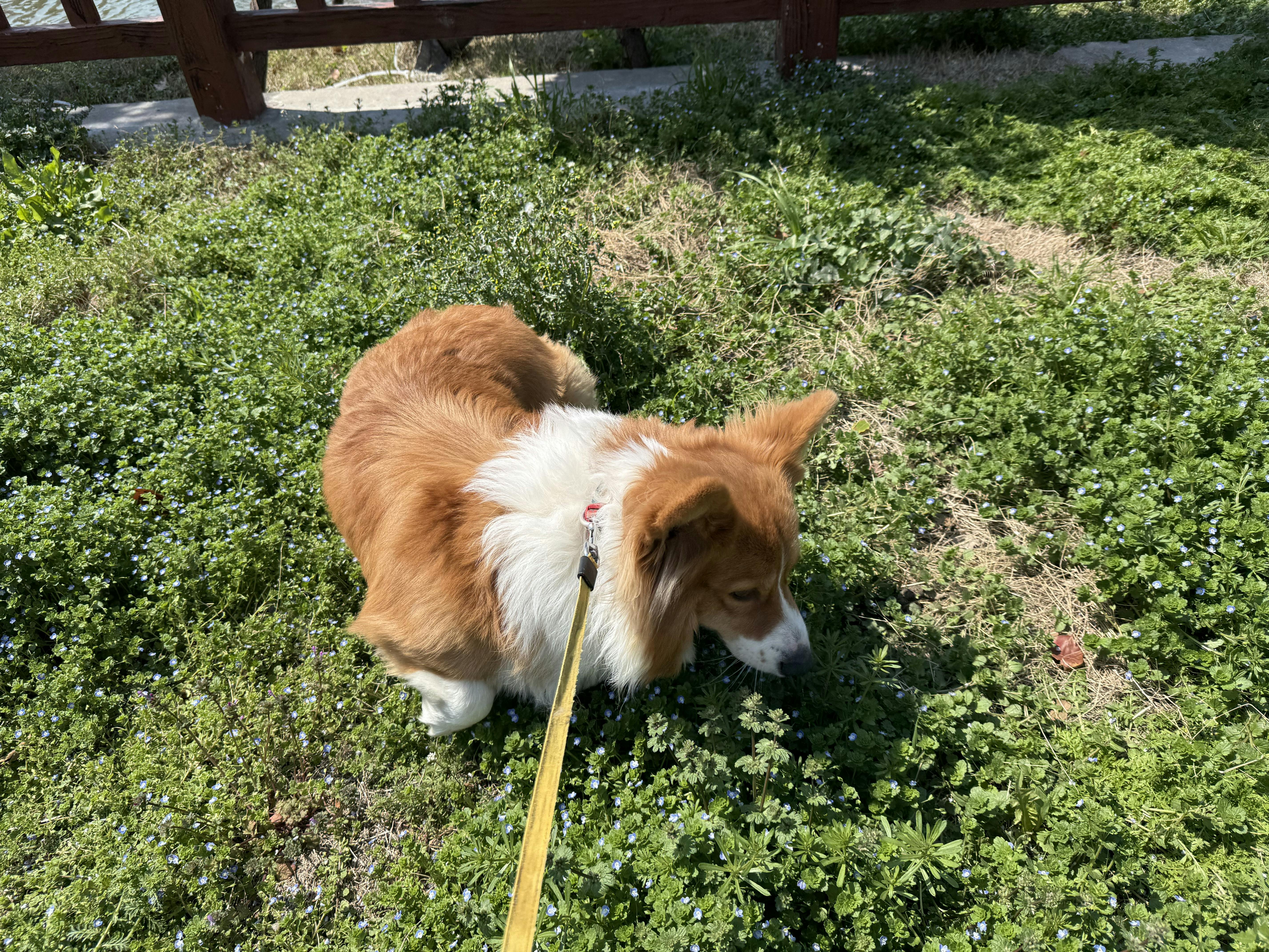 user avatar image for Bonny