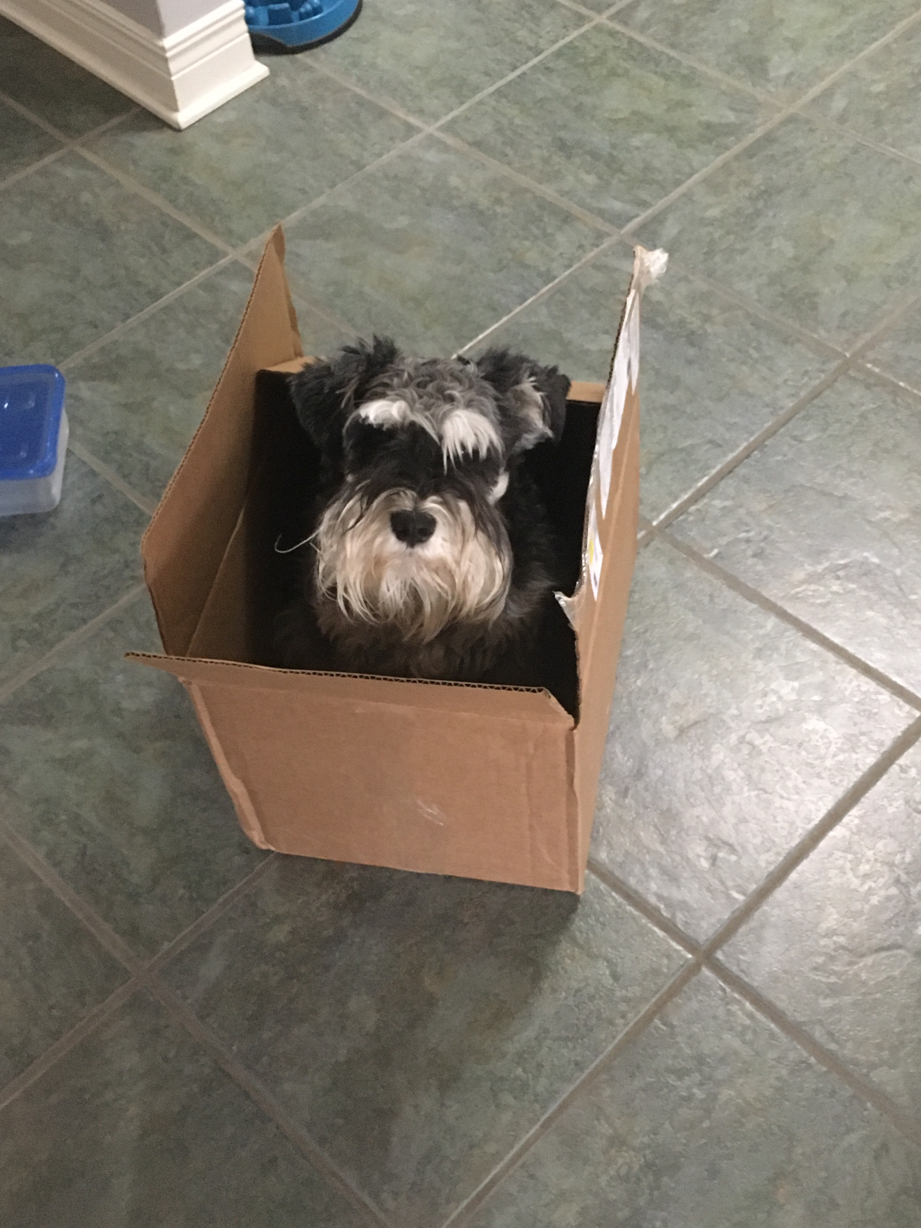 user avatar image for Taldus