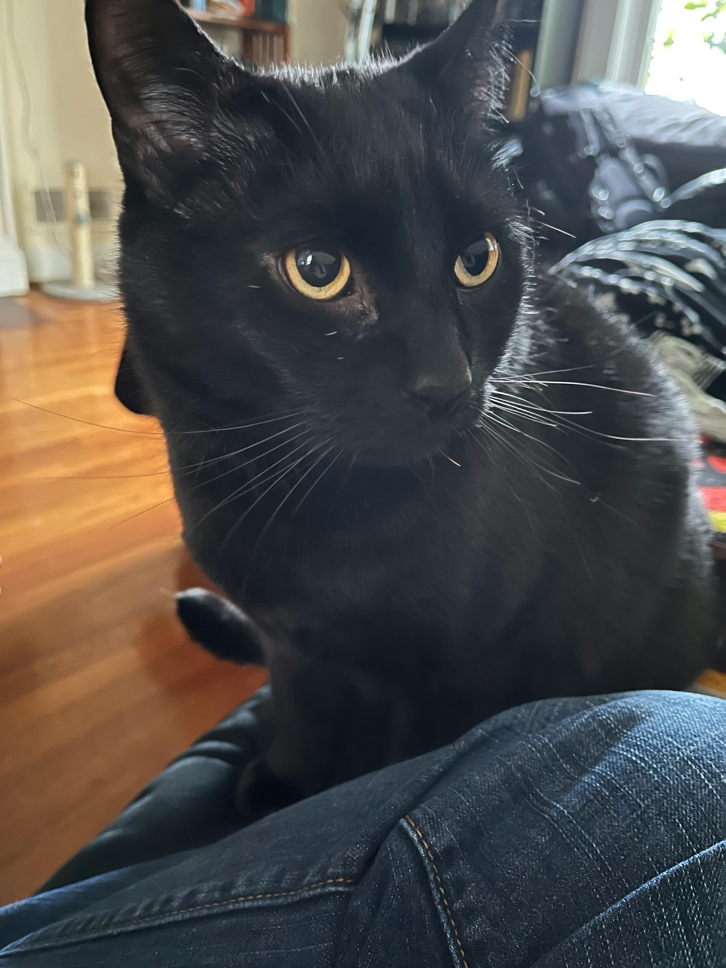 user avatar image for Tristan