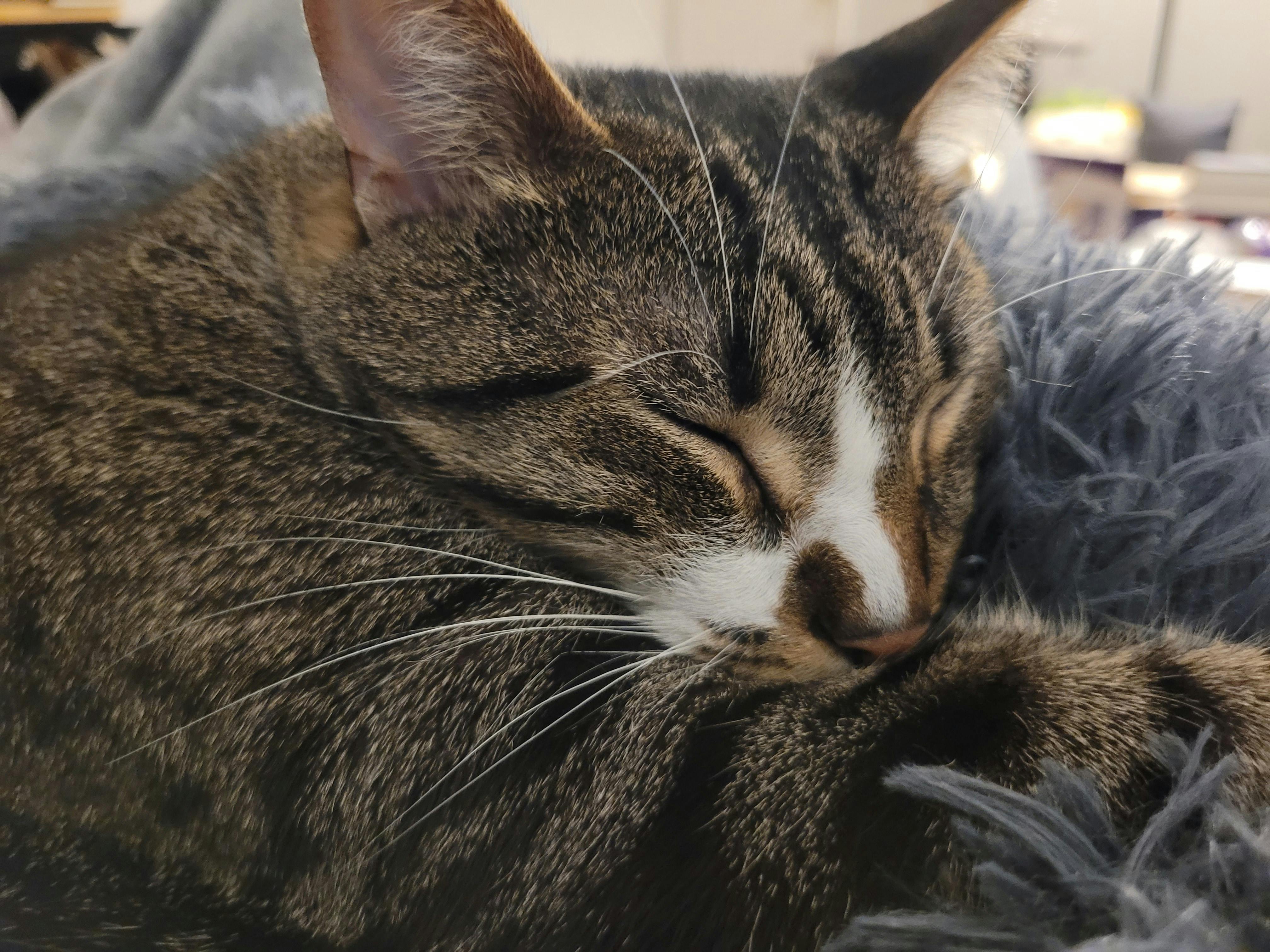 user avatar image for JourneyRuggles