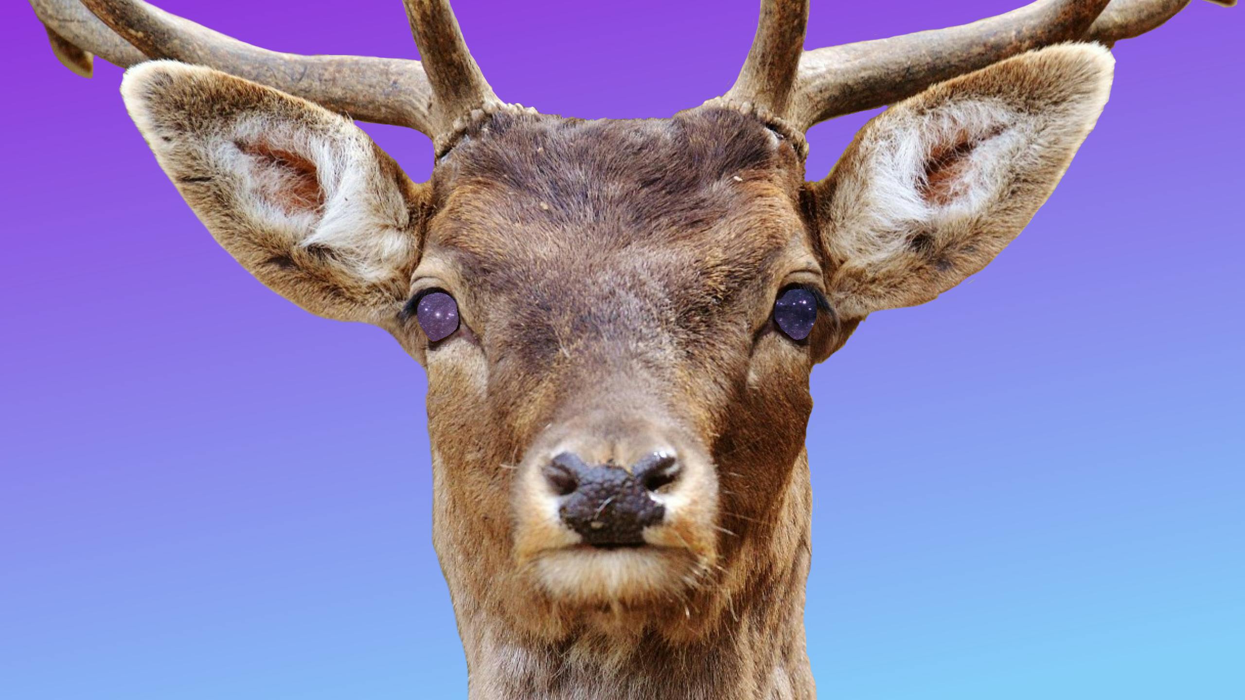 user avatar image for John Gredler