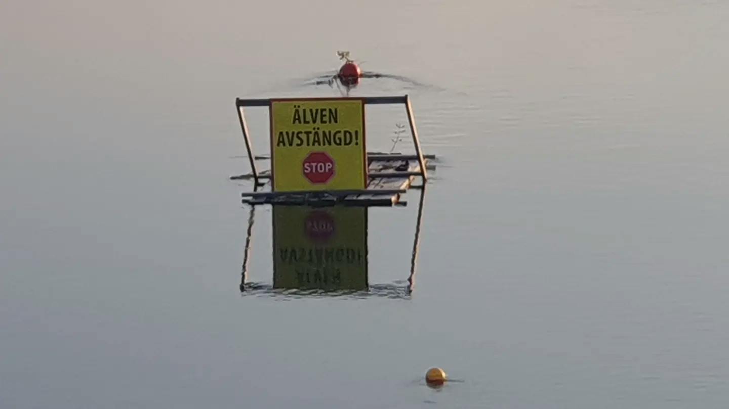 user avatar image for Janetzev