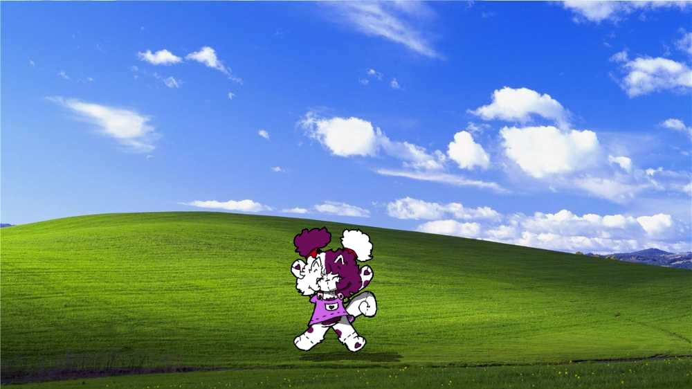 user avatar image for Lilmolly