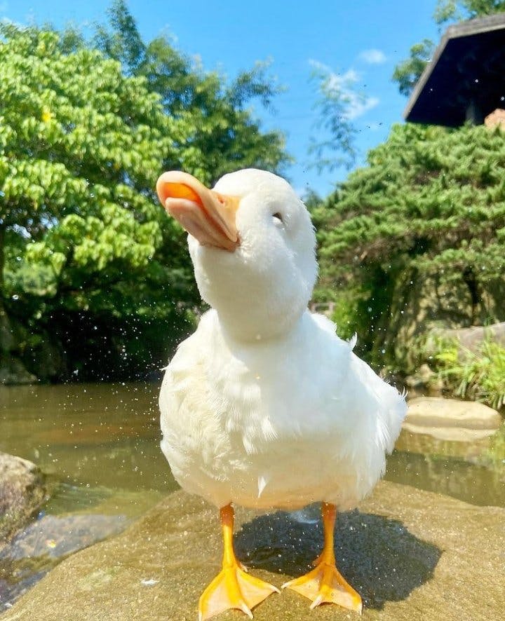 user avatar image for Orlaith McGrath