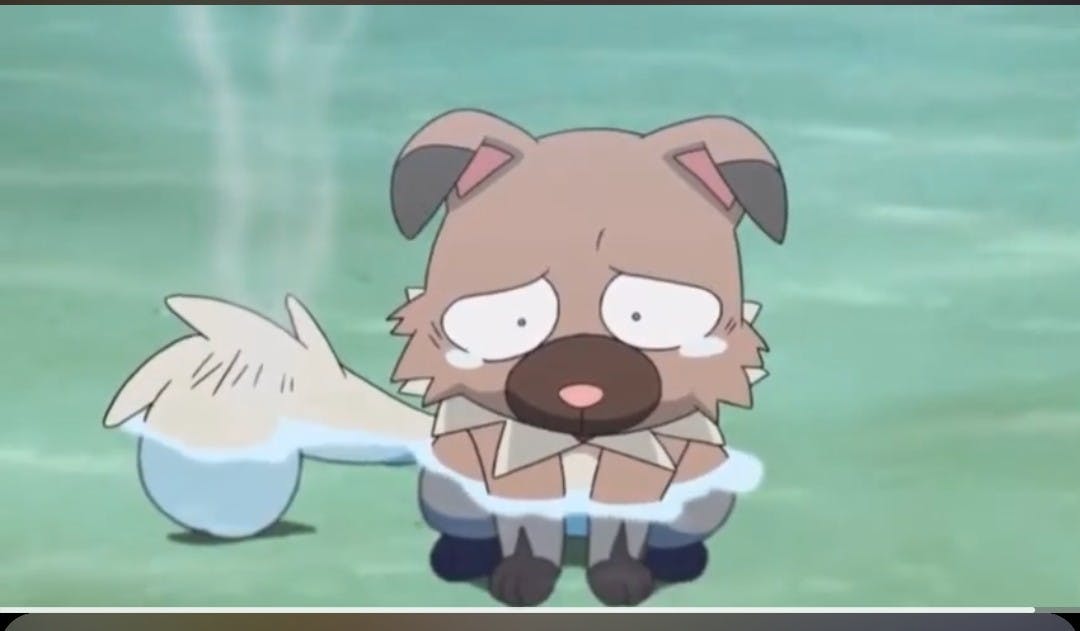 user avatar image for Emily 119