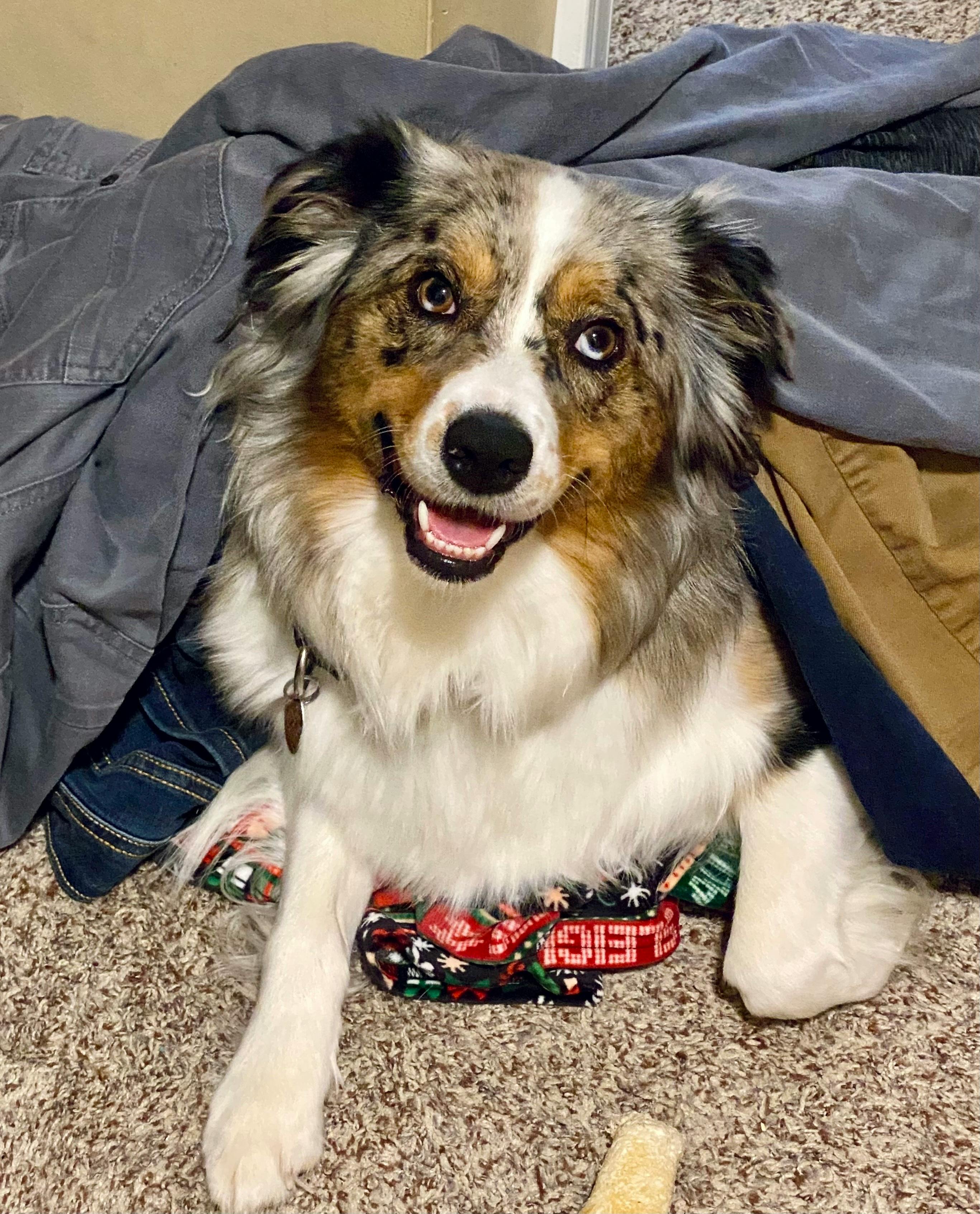 user avatar image for Mara W