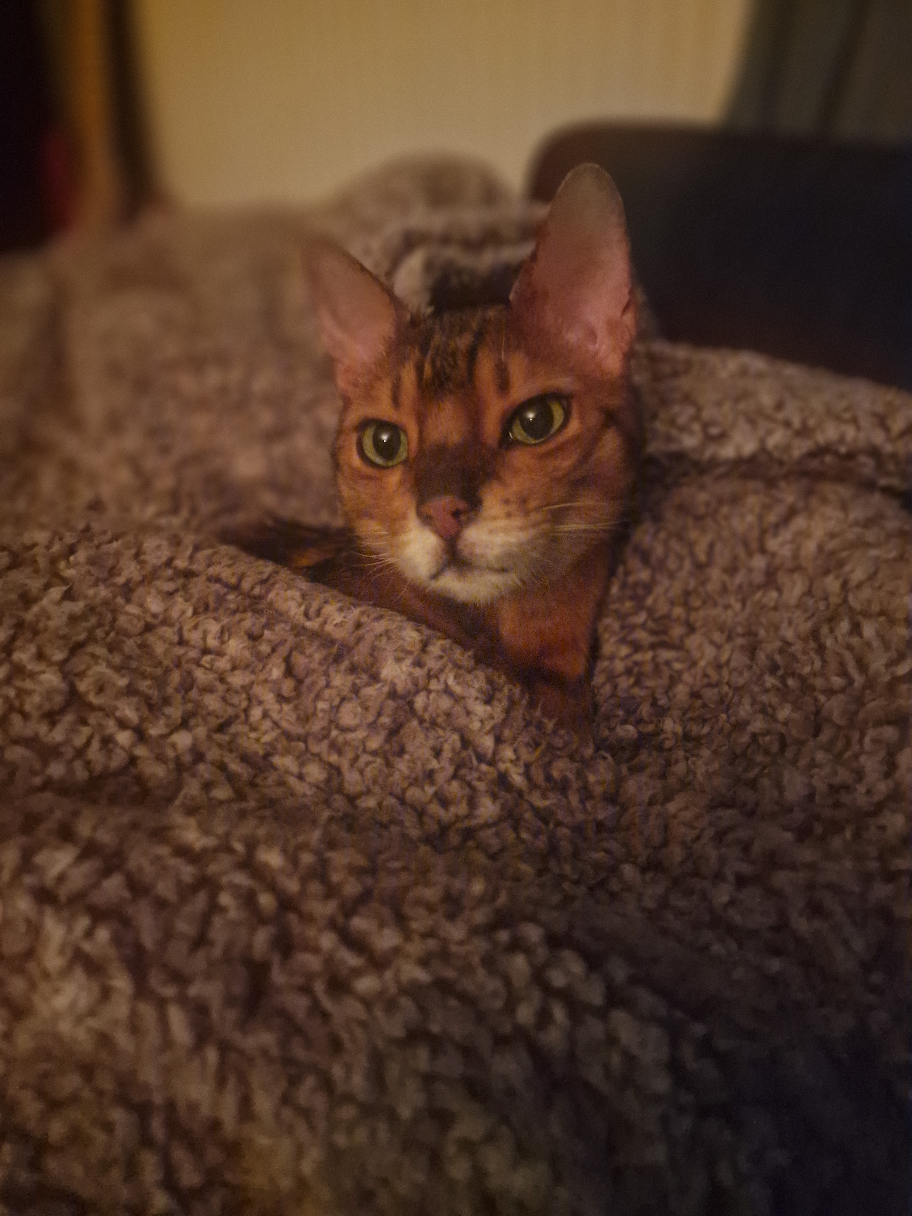 user avatar image for Angelica