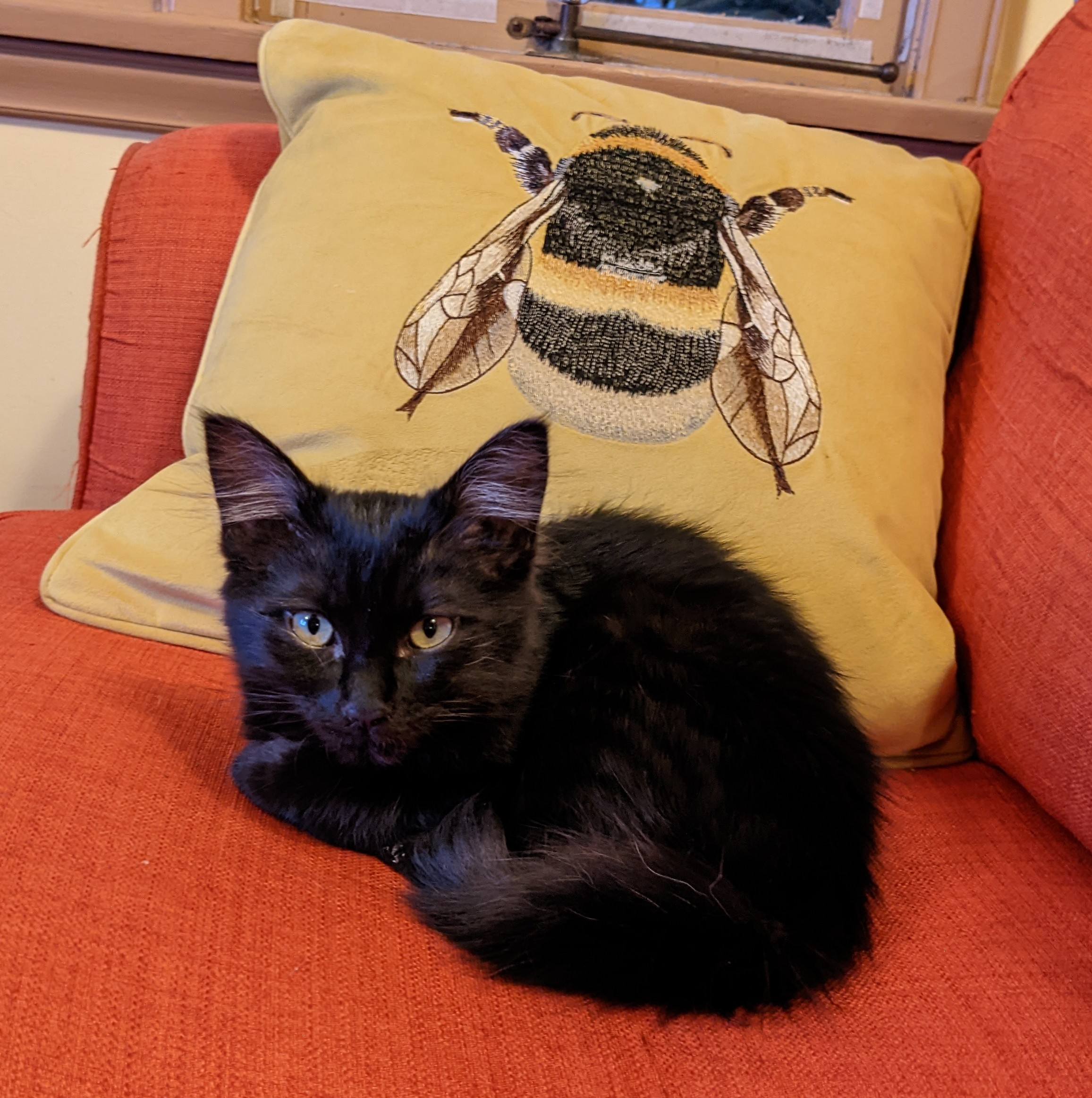 user avatar image for Lynn Rosskamp