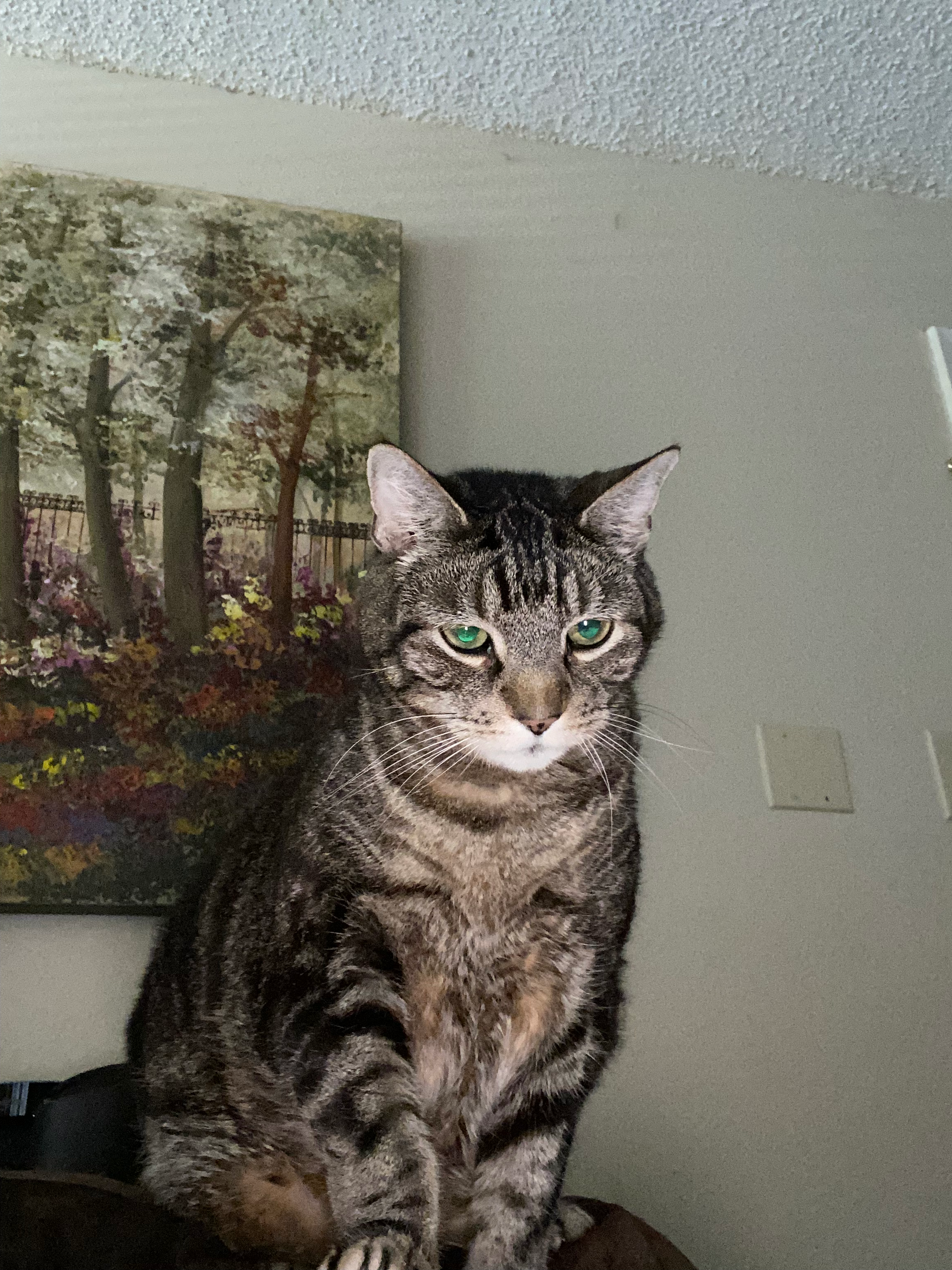 user avatar image for Jason