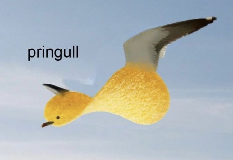 user avatar image for Lil.Nami