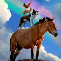 user avatar image for Andreas